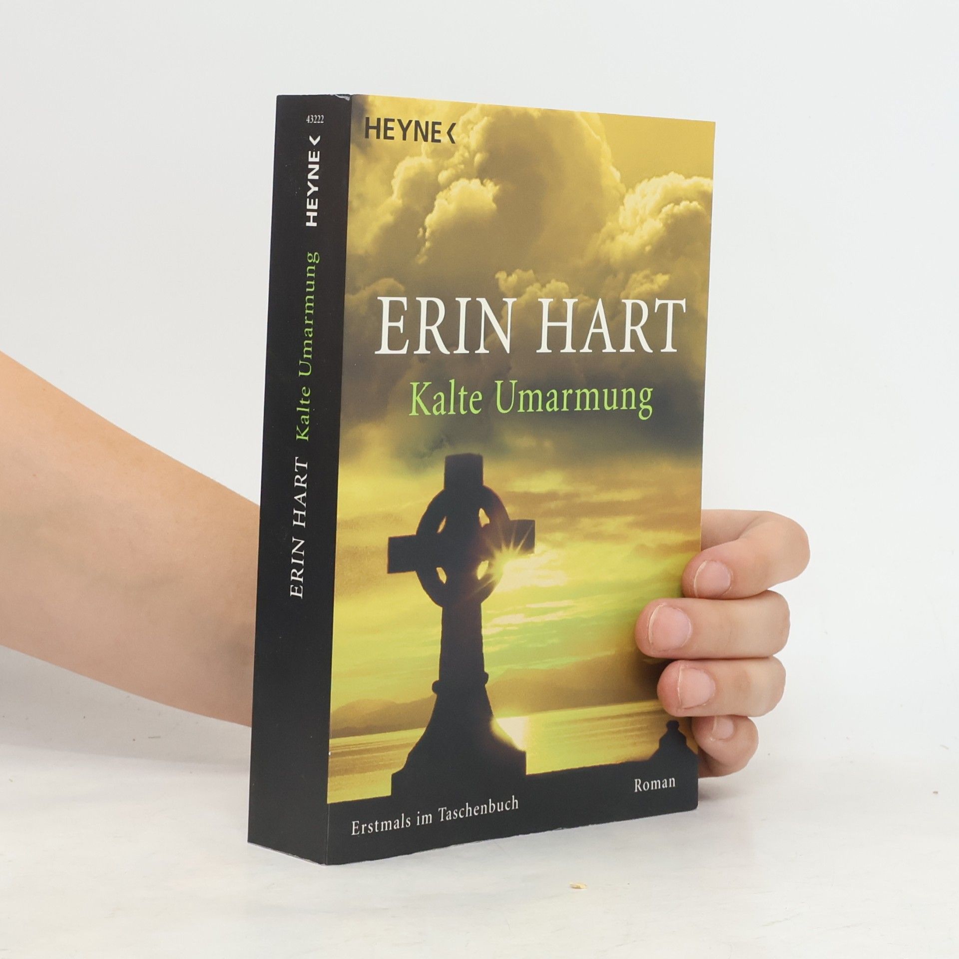 Erin Hart Kalte Umarmung