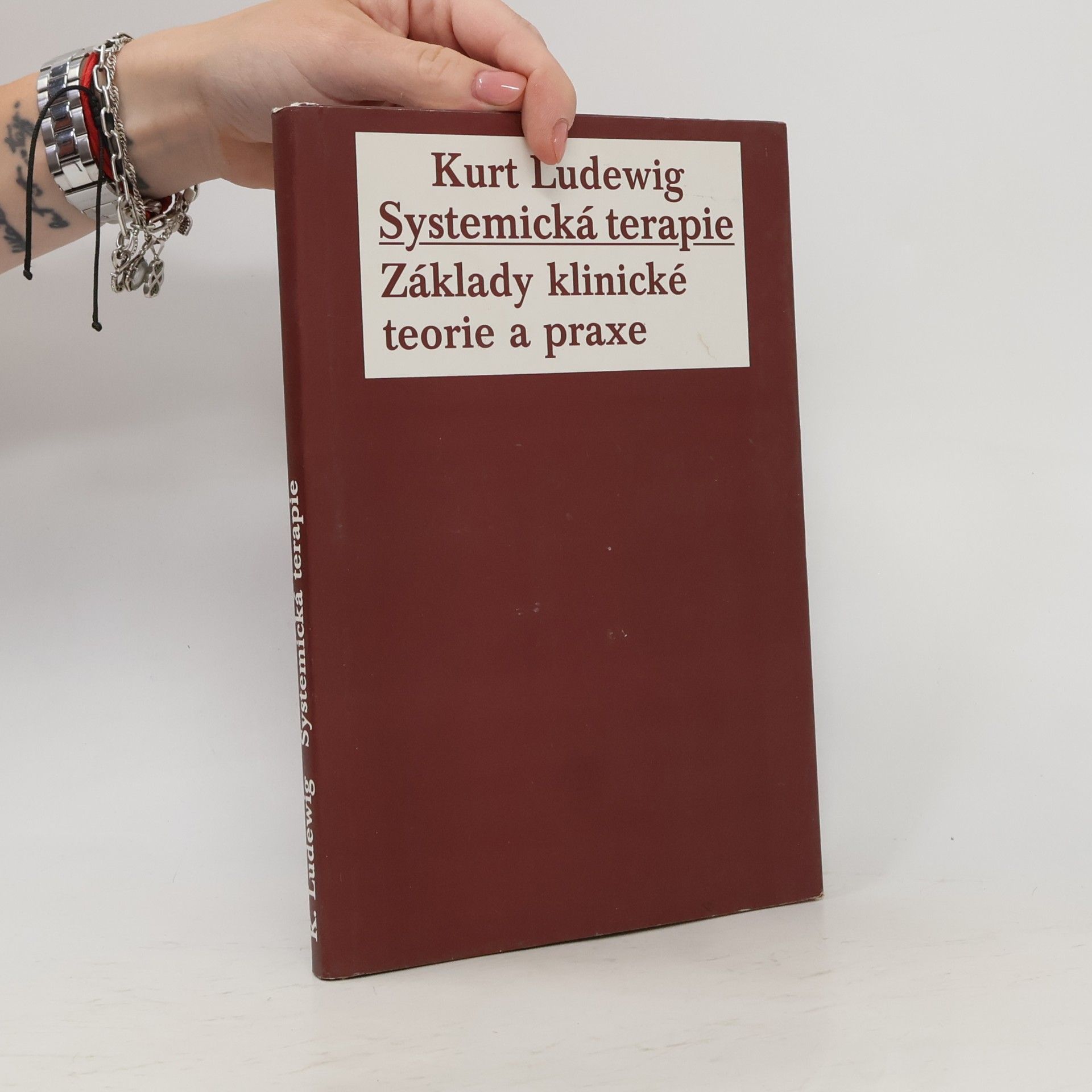 Systemická terapie : základy klinické teorie a praxe