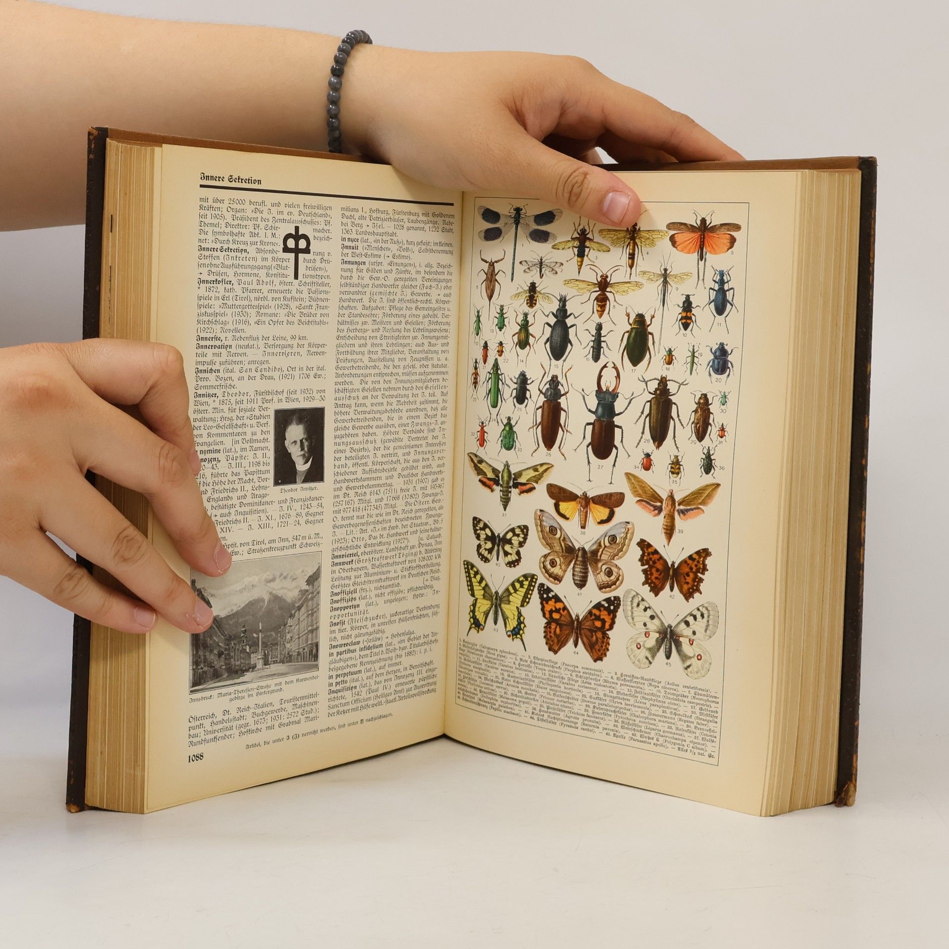 Autores varios Meyers Kleines Lexikon 2