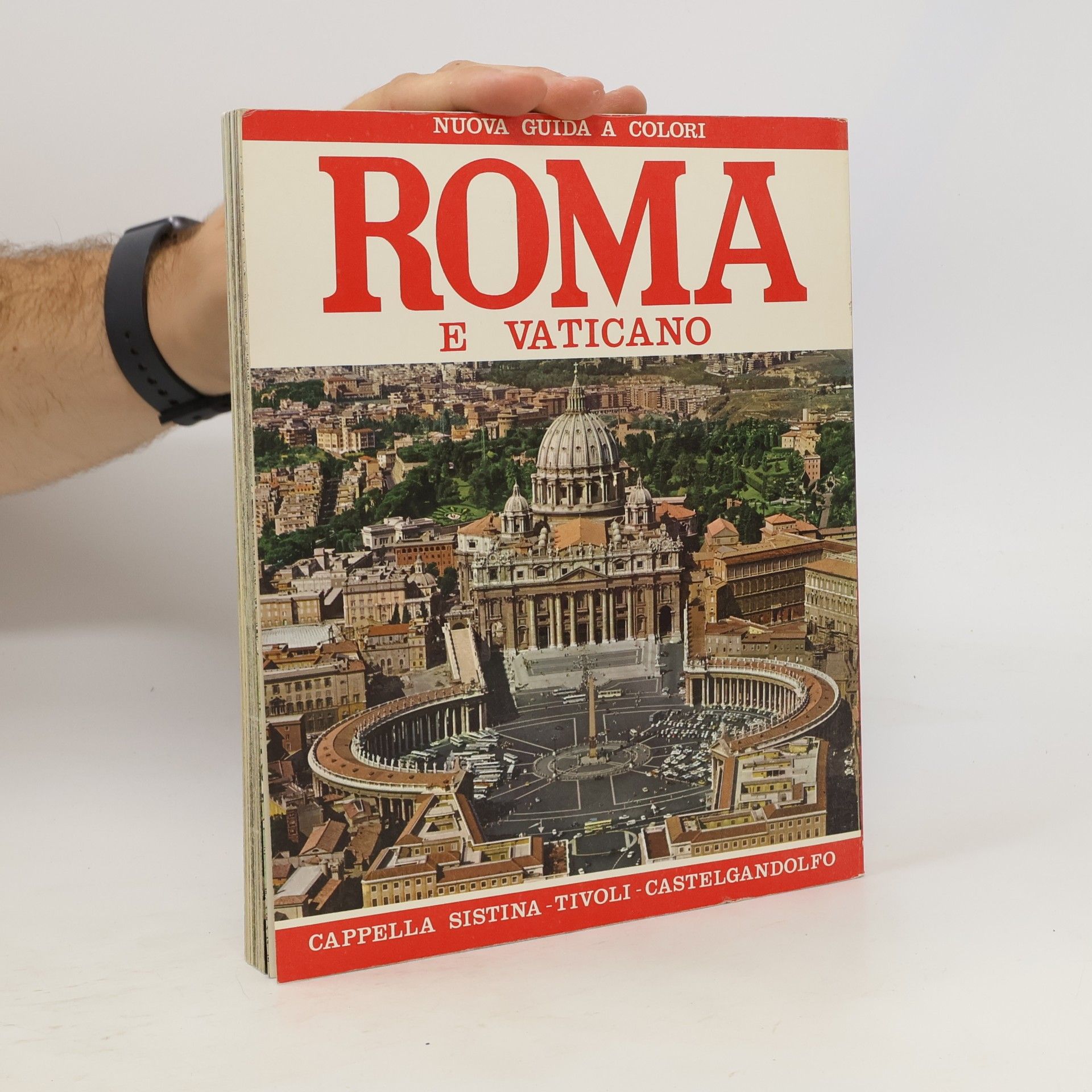 Loretta Santini Roma E Vaticano