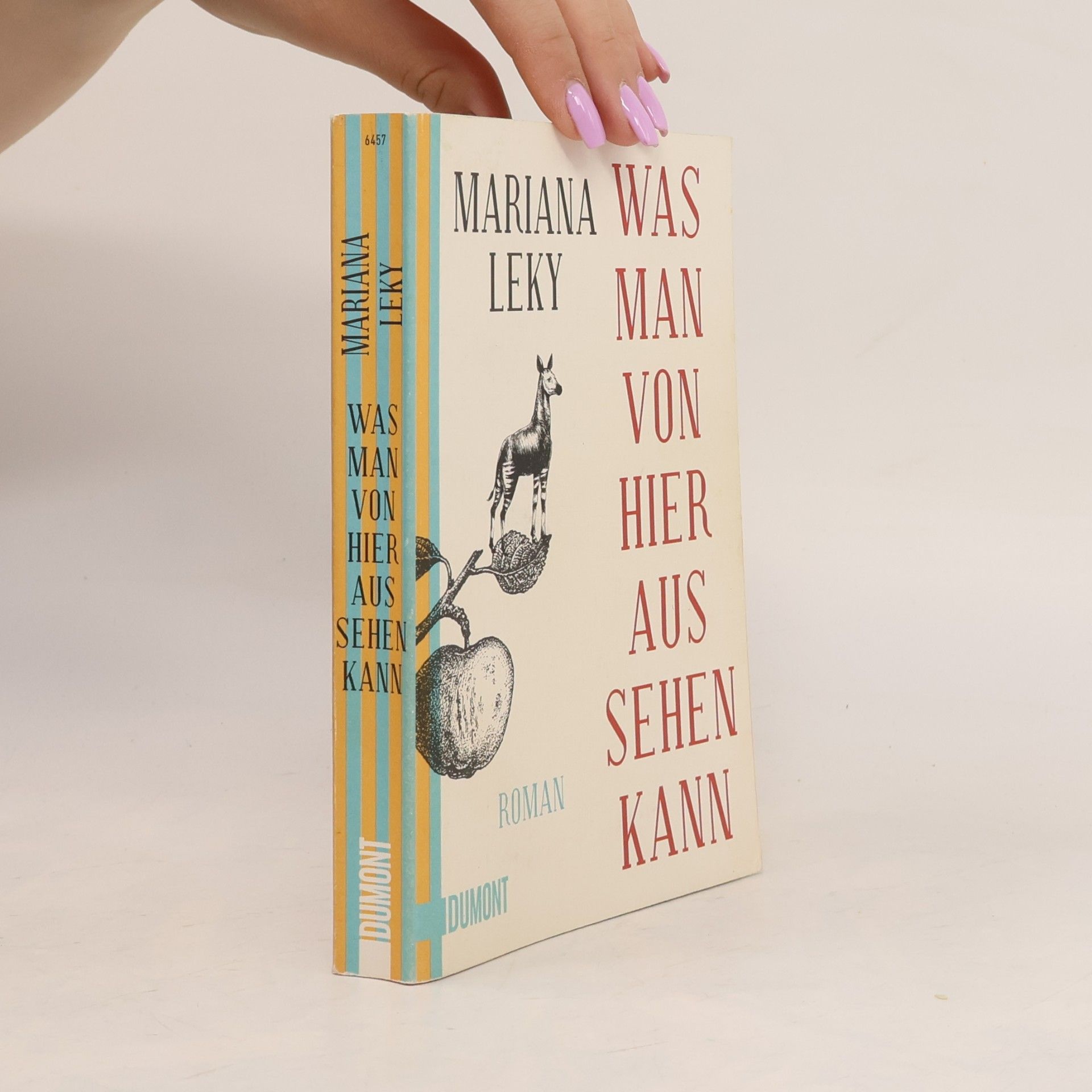 Mariana Leky Was man von hier aus sehen kann