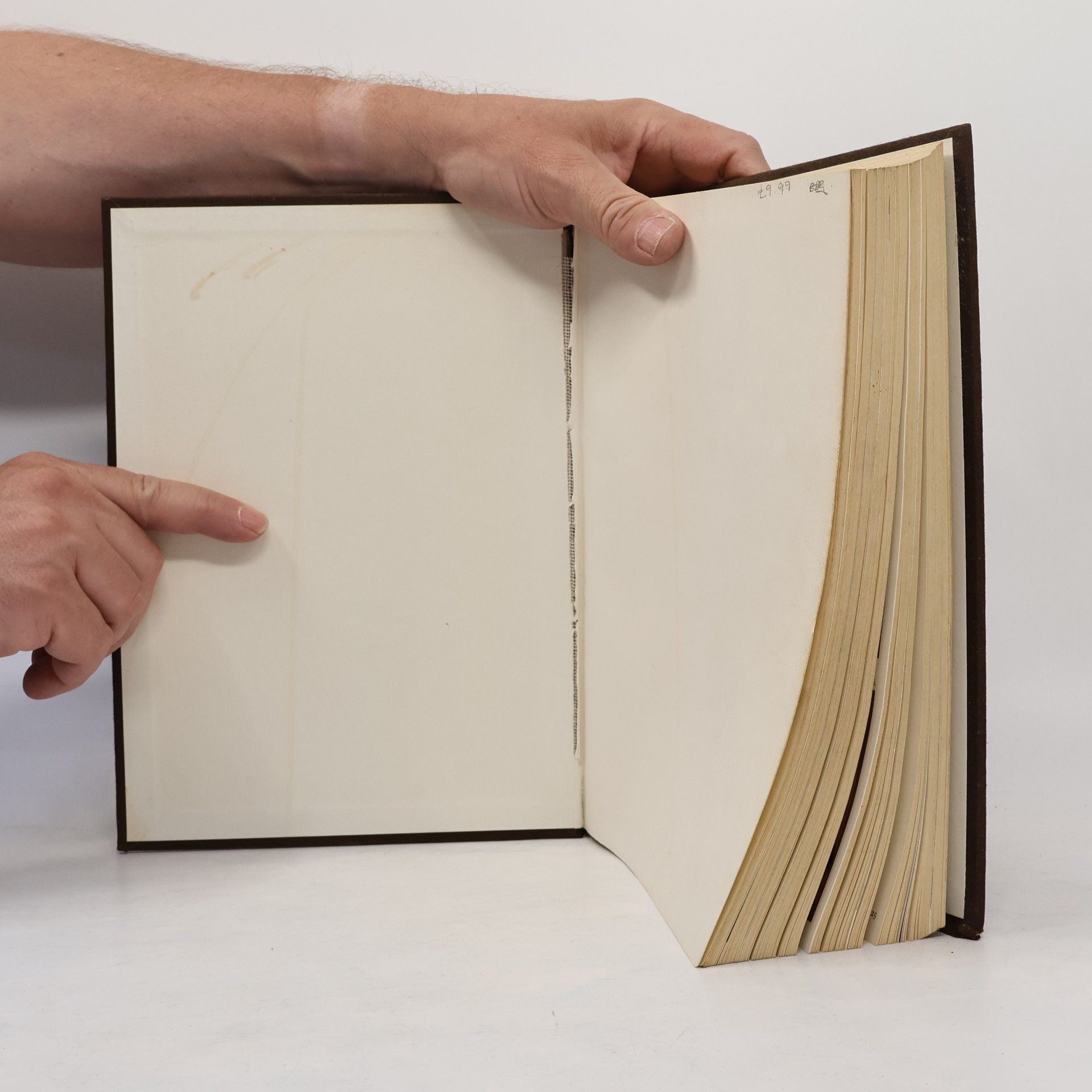 Various authors Phaidon Encyclopedia of Art and Artists