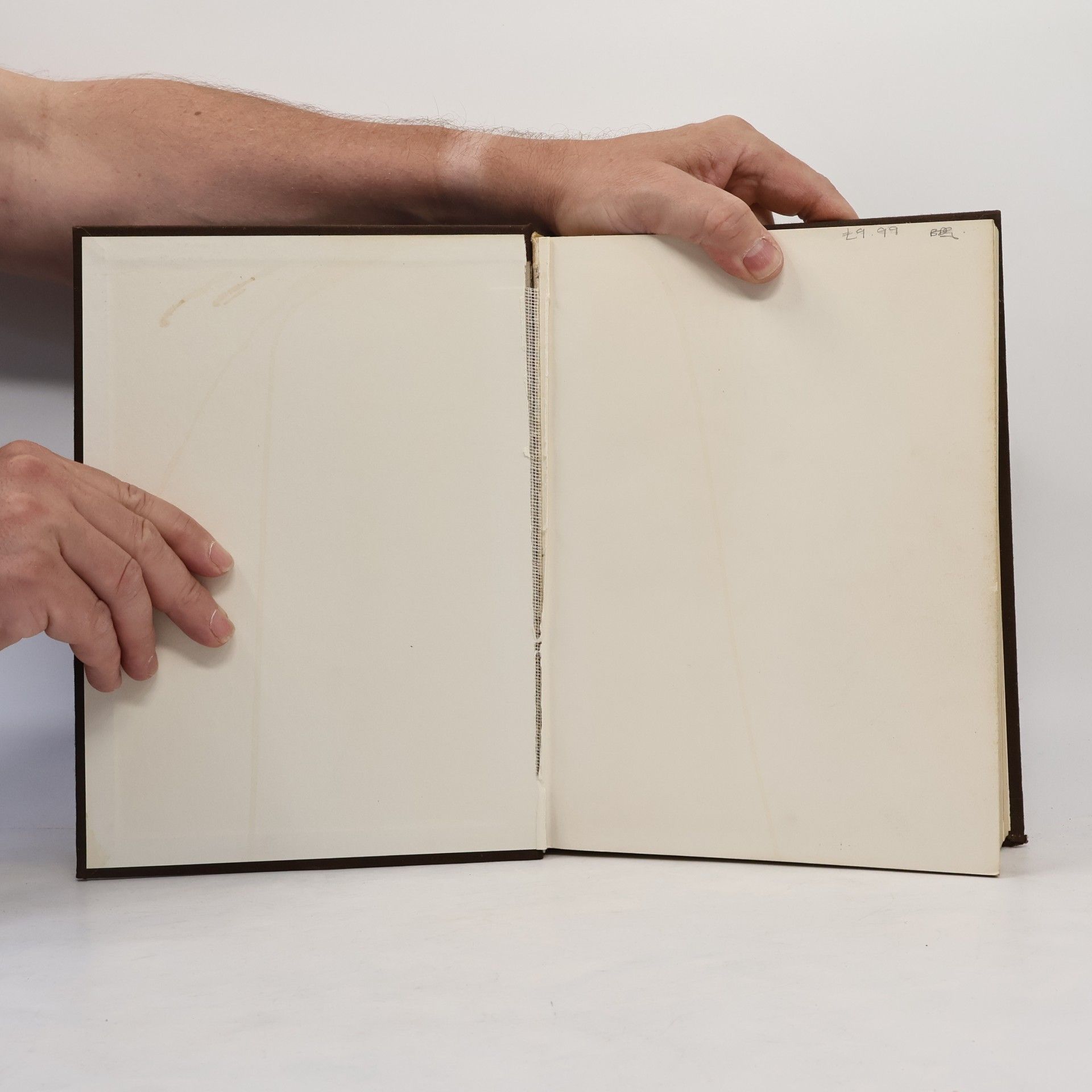 Various authors Phaidon Encyclopedia of Art and Artists