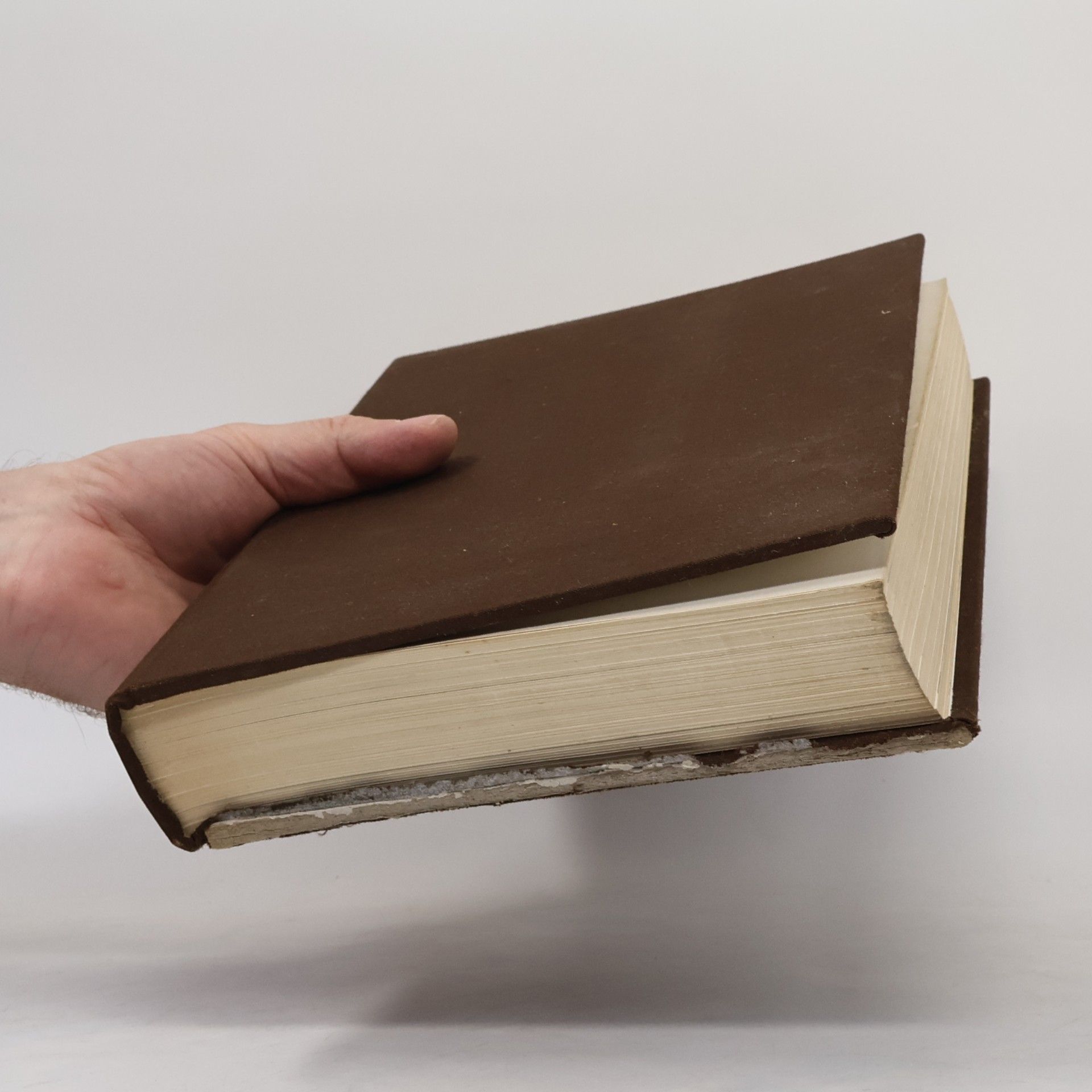 Various authors Phaidon Encyclopedia of Art and Artists