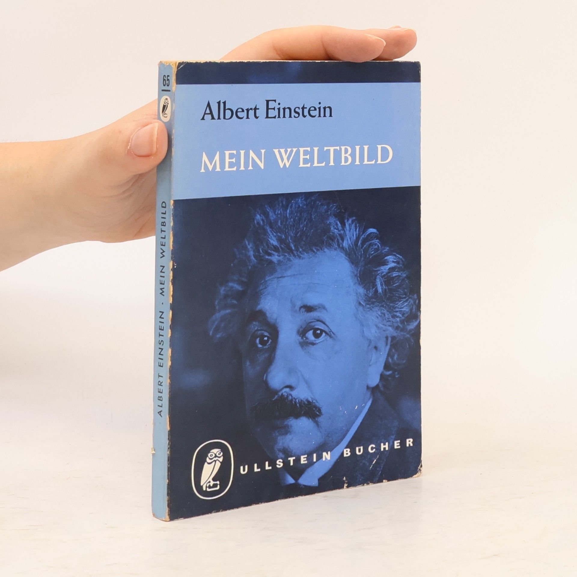 Albert Einstein Mein Weltbild