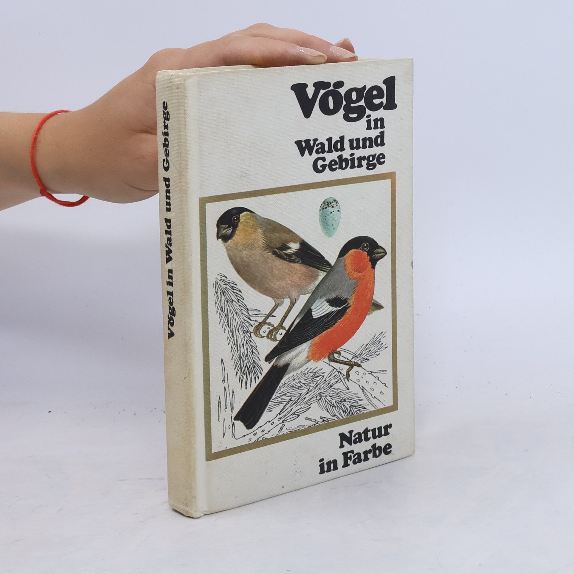 J. Felix Vögel in Wald und Gebirge