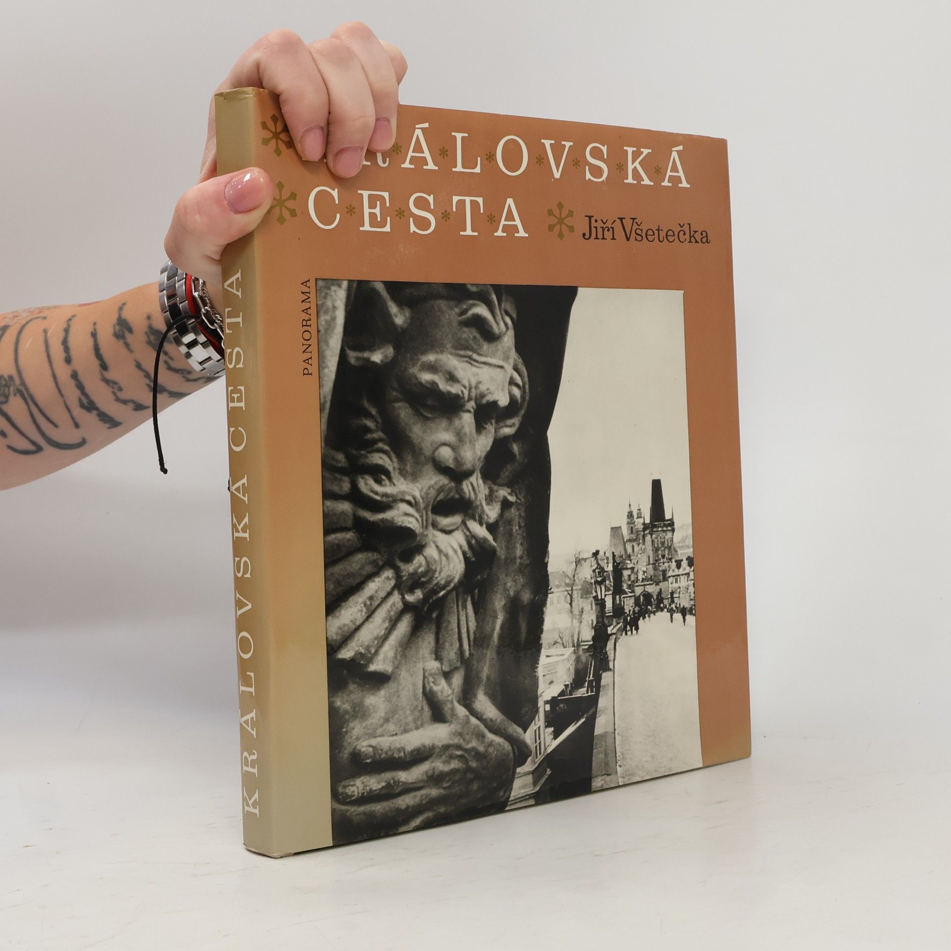 Jiří Všetečka Královská cesta