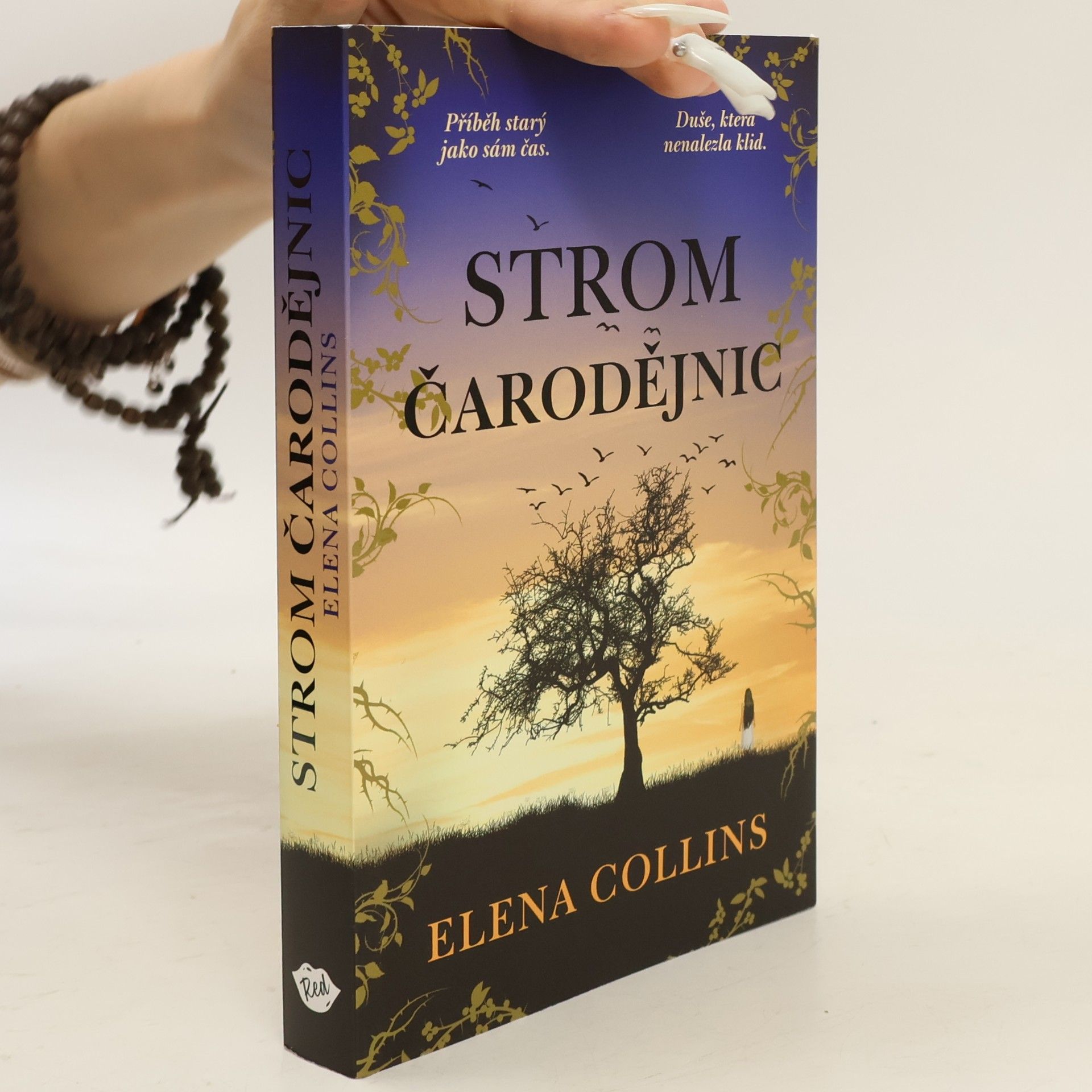 Judy Leigh Strom čarodějnic