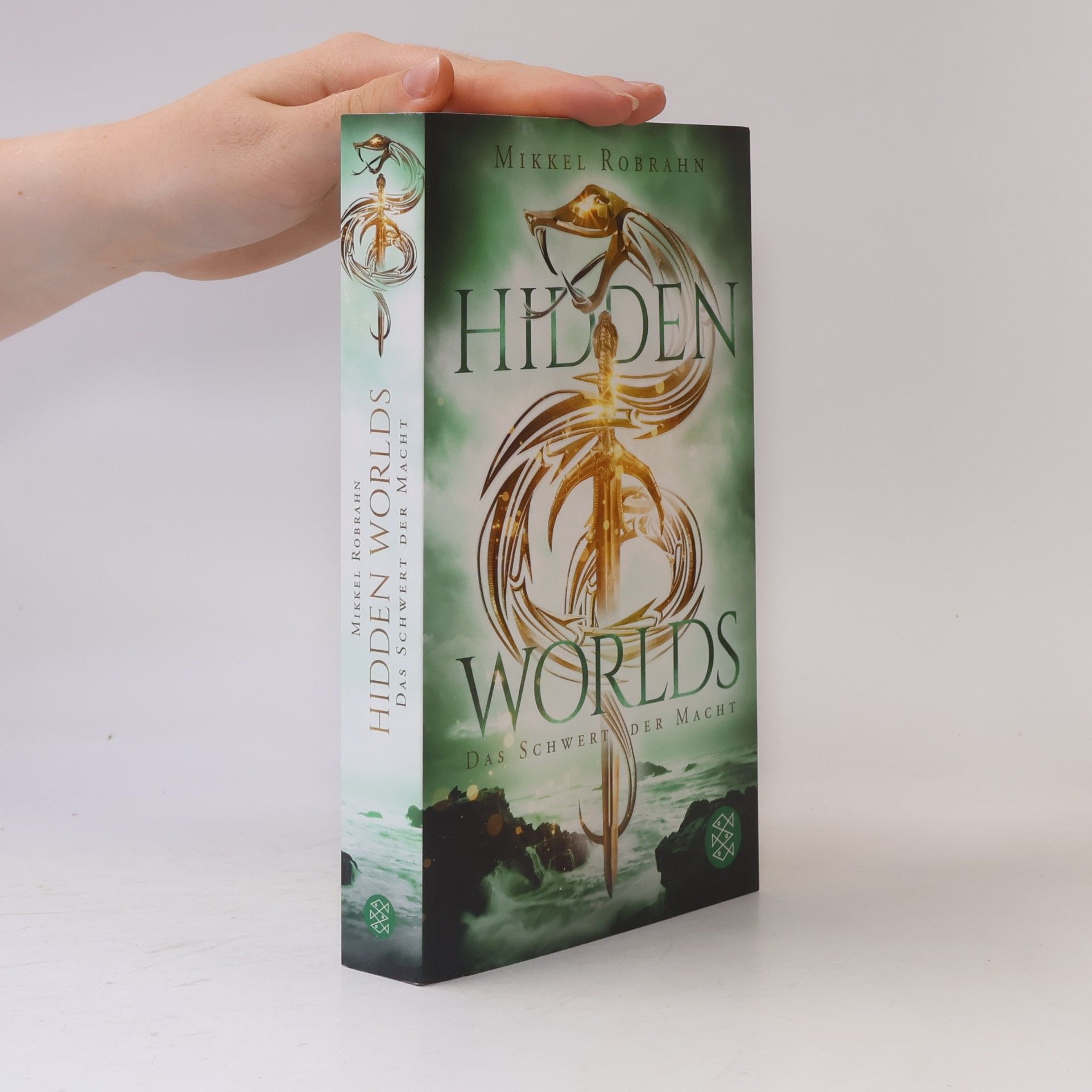 Mikkel Robrahn Hidden Worlds 3. Das Schwert der Macht