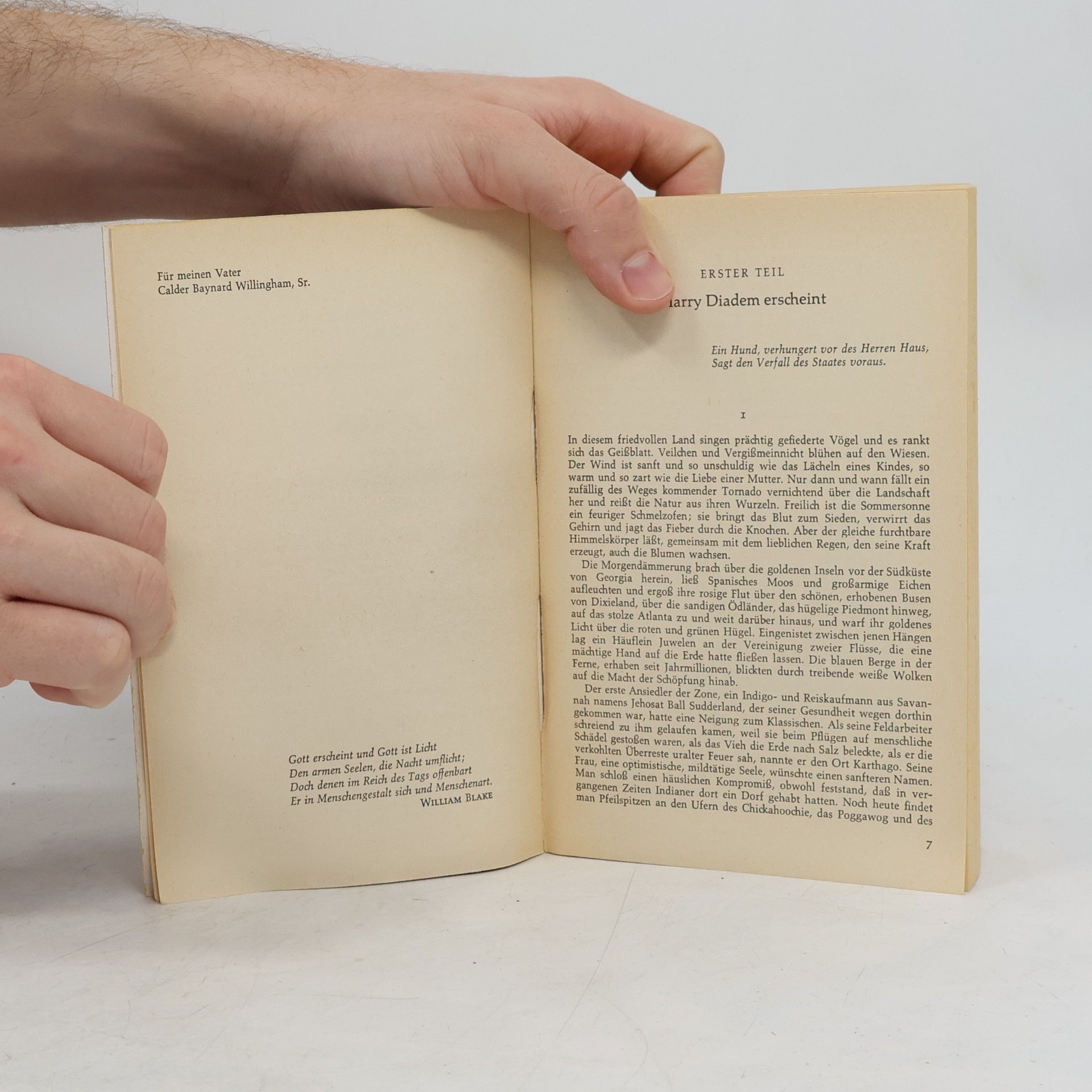 Calder Willingham Die Versuchung der Laurie Mae