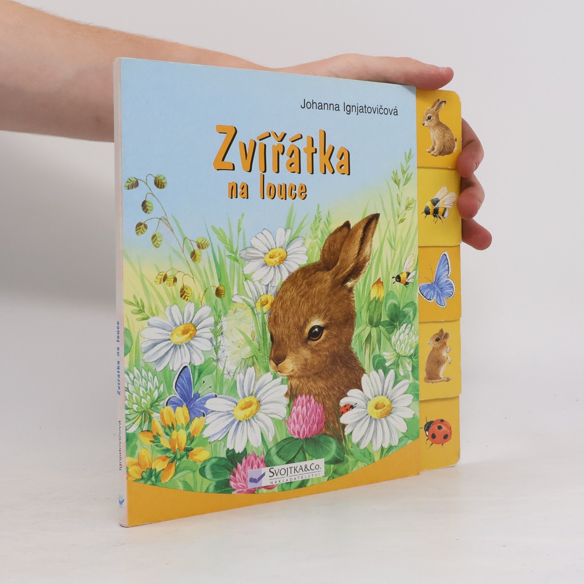 Zvířátka na louce