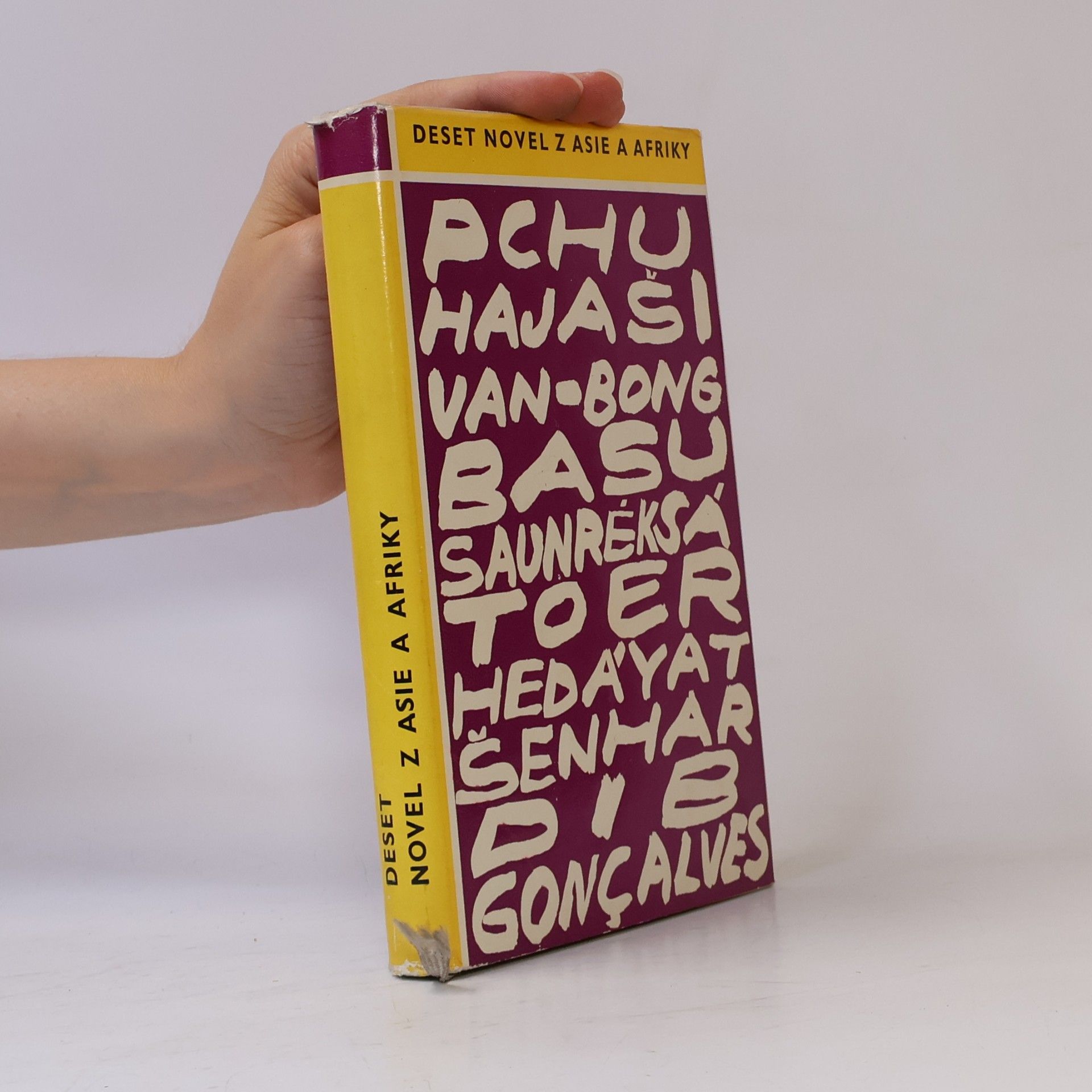 Kolektív autorov Deset novel z Asie a Afriky