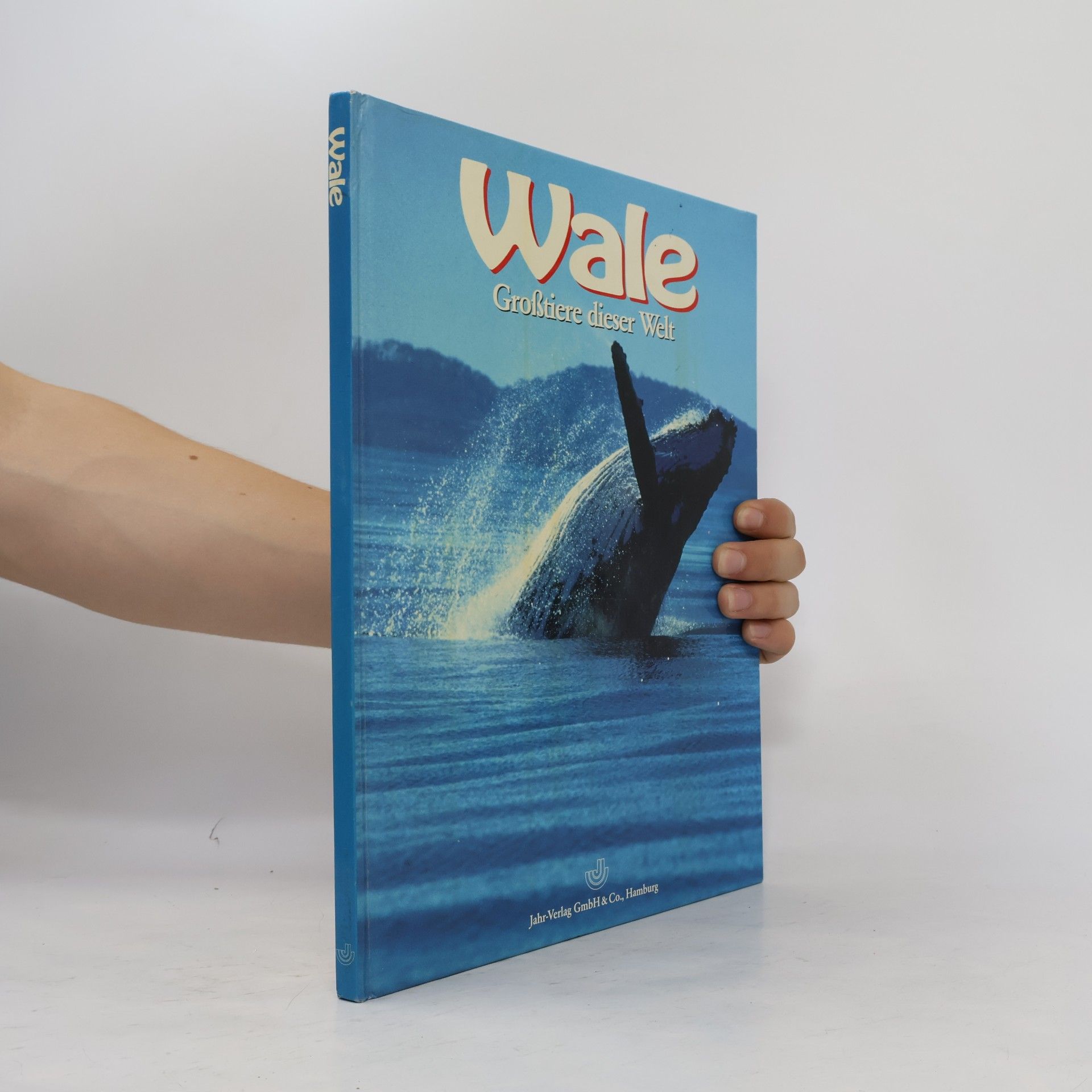 Lesley Dow Wale