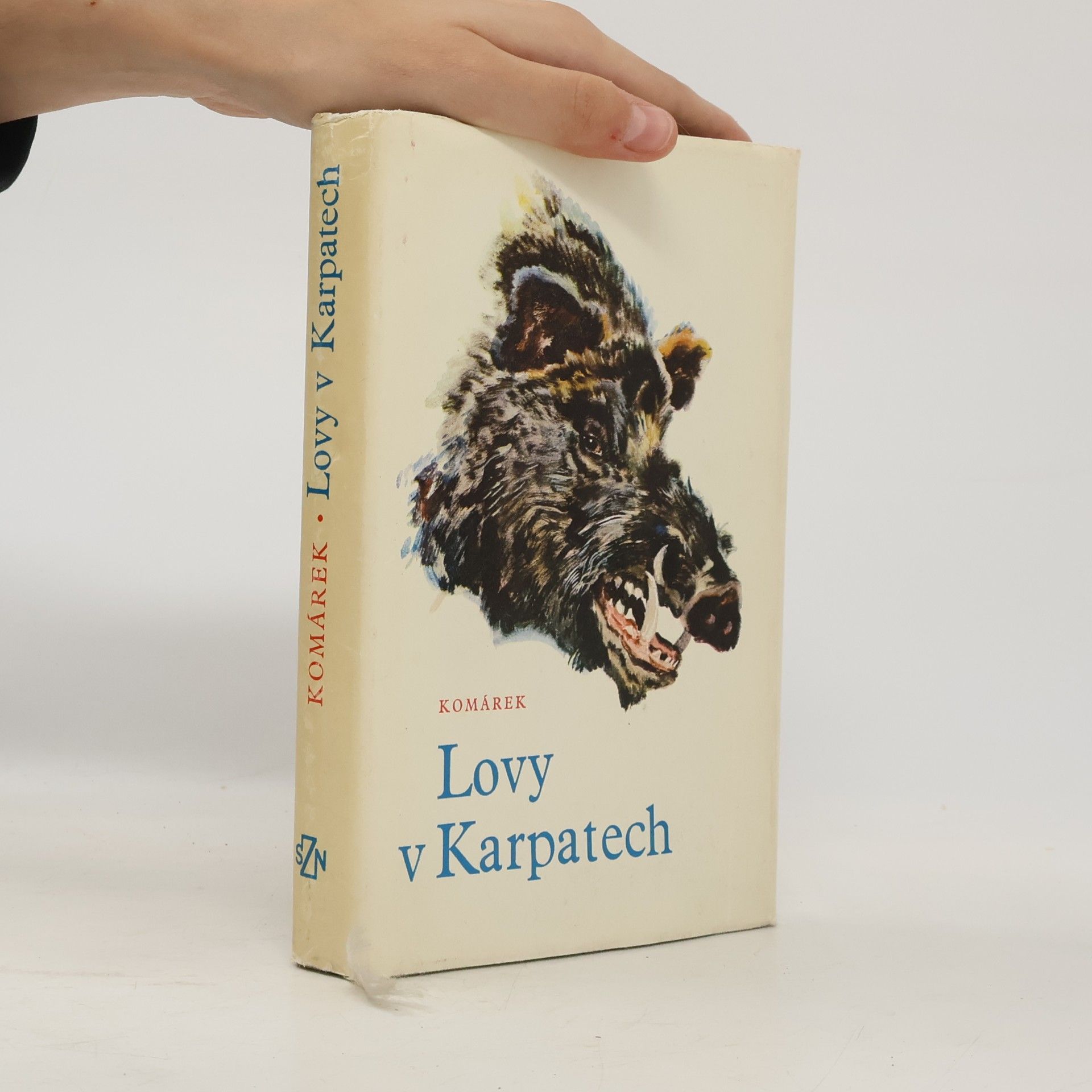 Julius Komárek Lovy v Karpatech