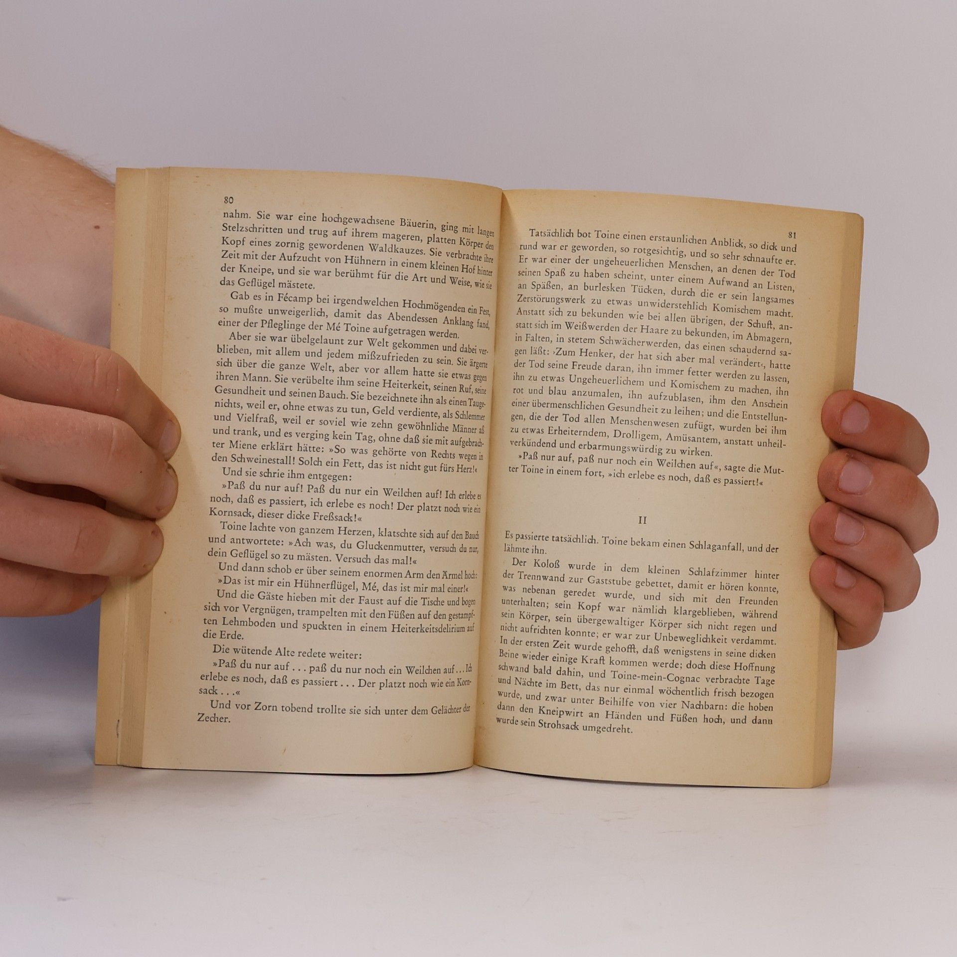 Guy de Maupassant Die Unbekannte