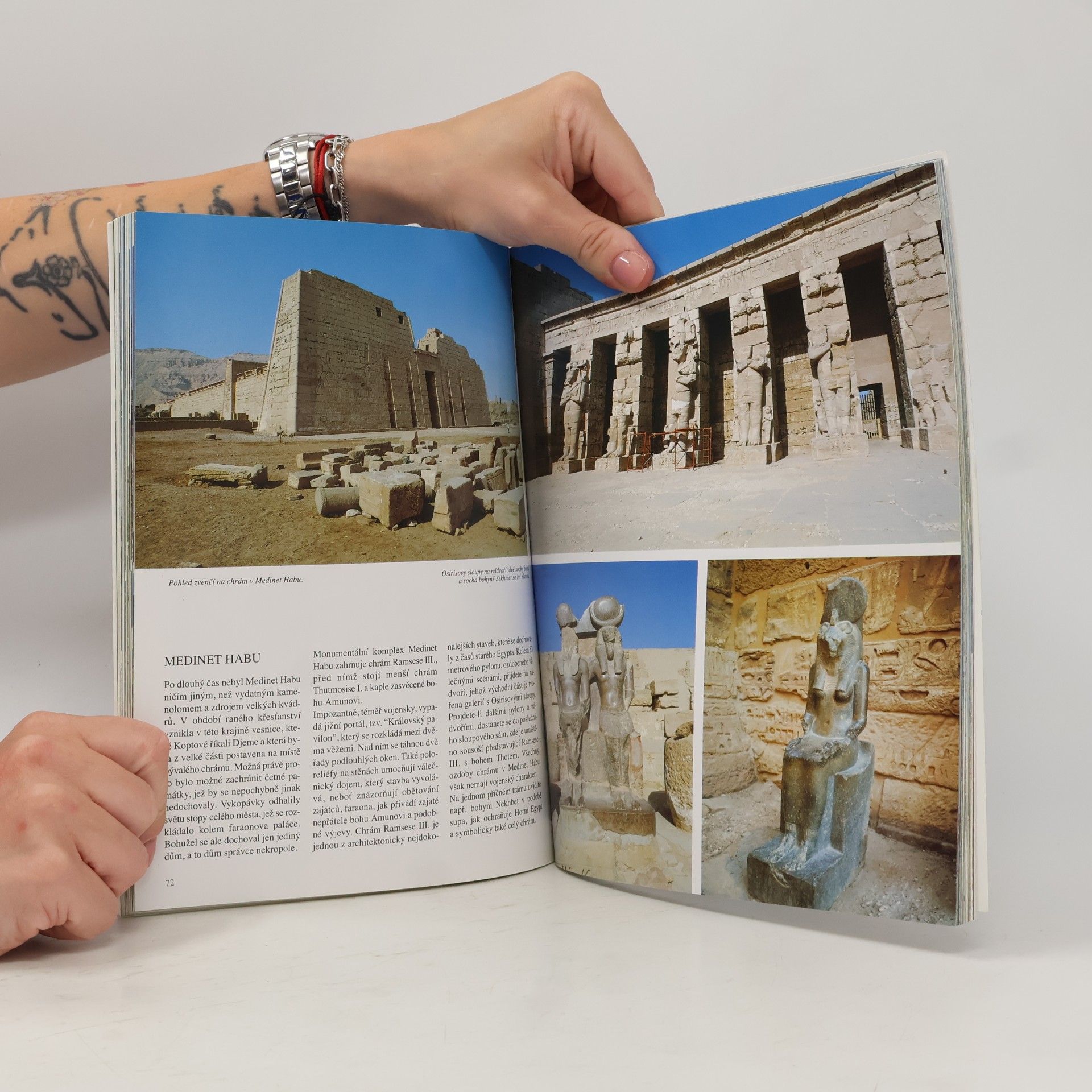 Abbas Chalaby Napříč Egyptem. Od Káhiry po Abu Simbel a Sinaj