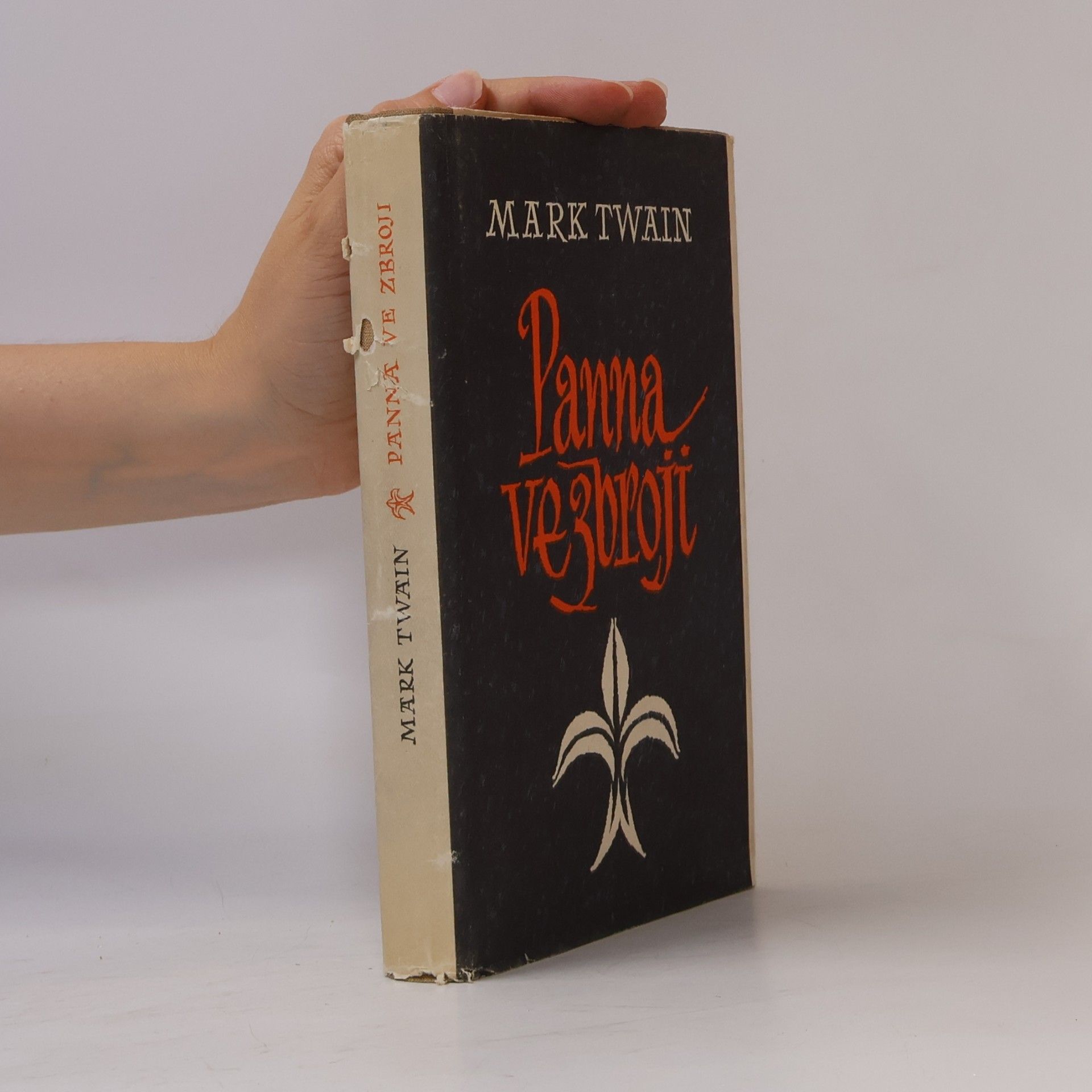 Mark Twain Panna ve zbroji