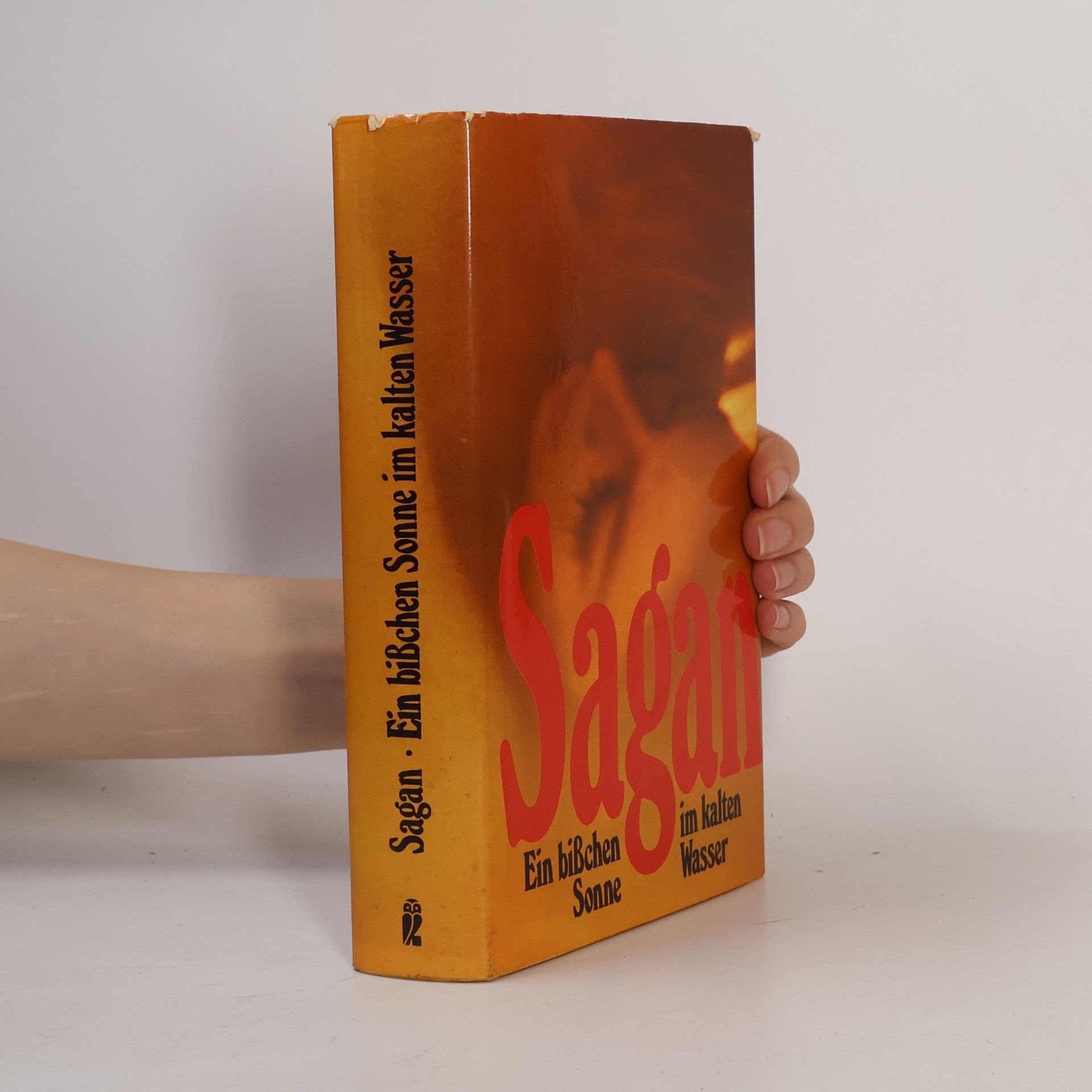 Françoise Sagan Ein bißchen Sonne im kalten Wasser