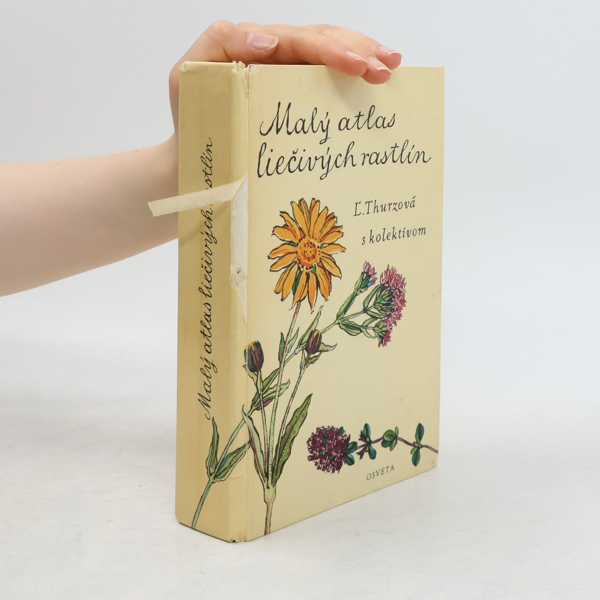 Květoslav Hísek Malý atlas liečivých rastlín