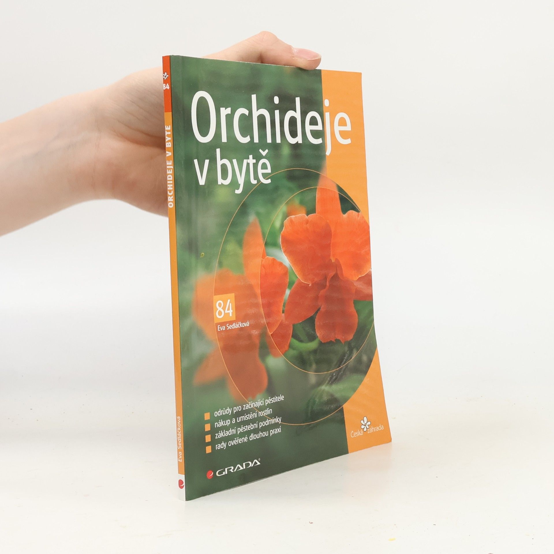 Eva Sedláčková Orchideje v bytě