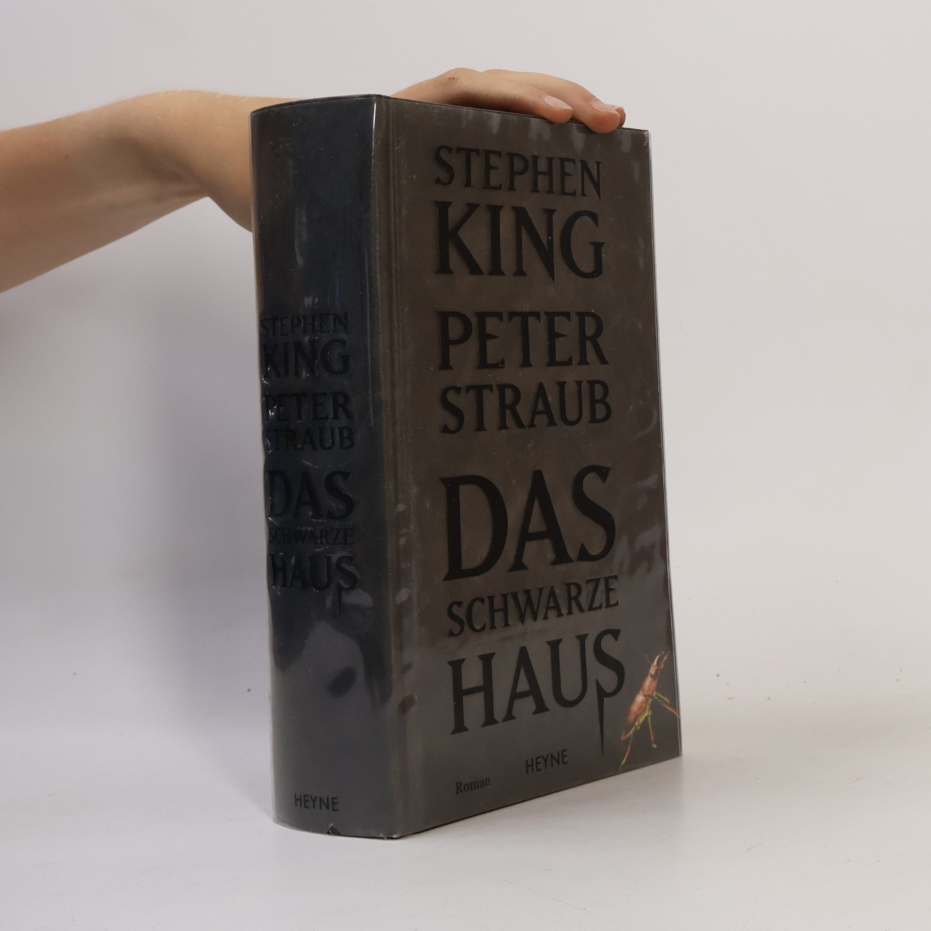 Stephen King Das schwarze Haus