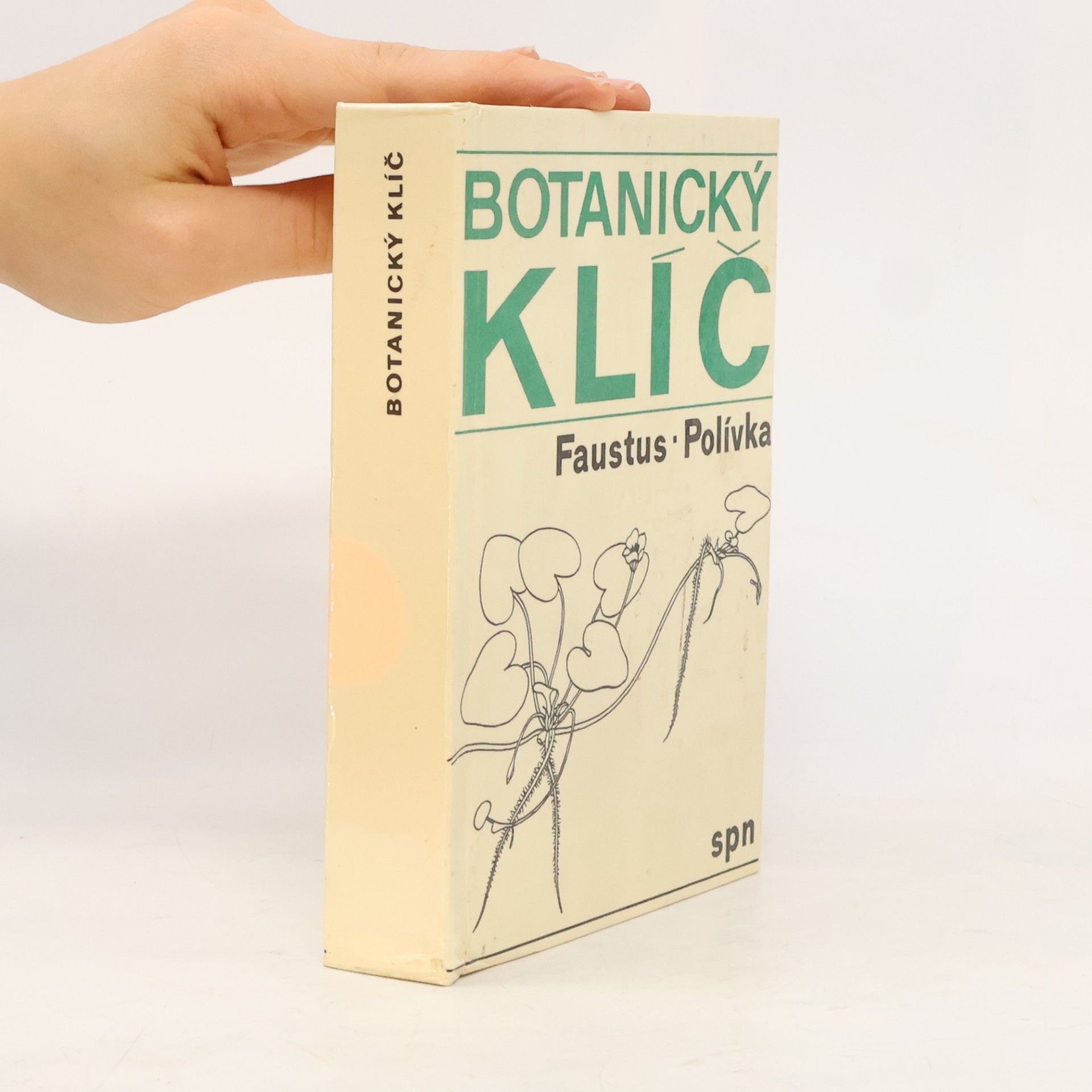 Luděk Faustus Botanický klíč