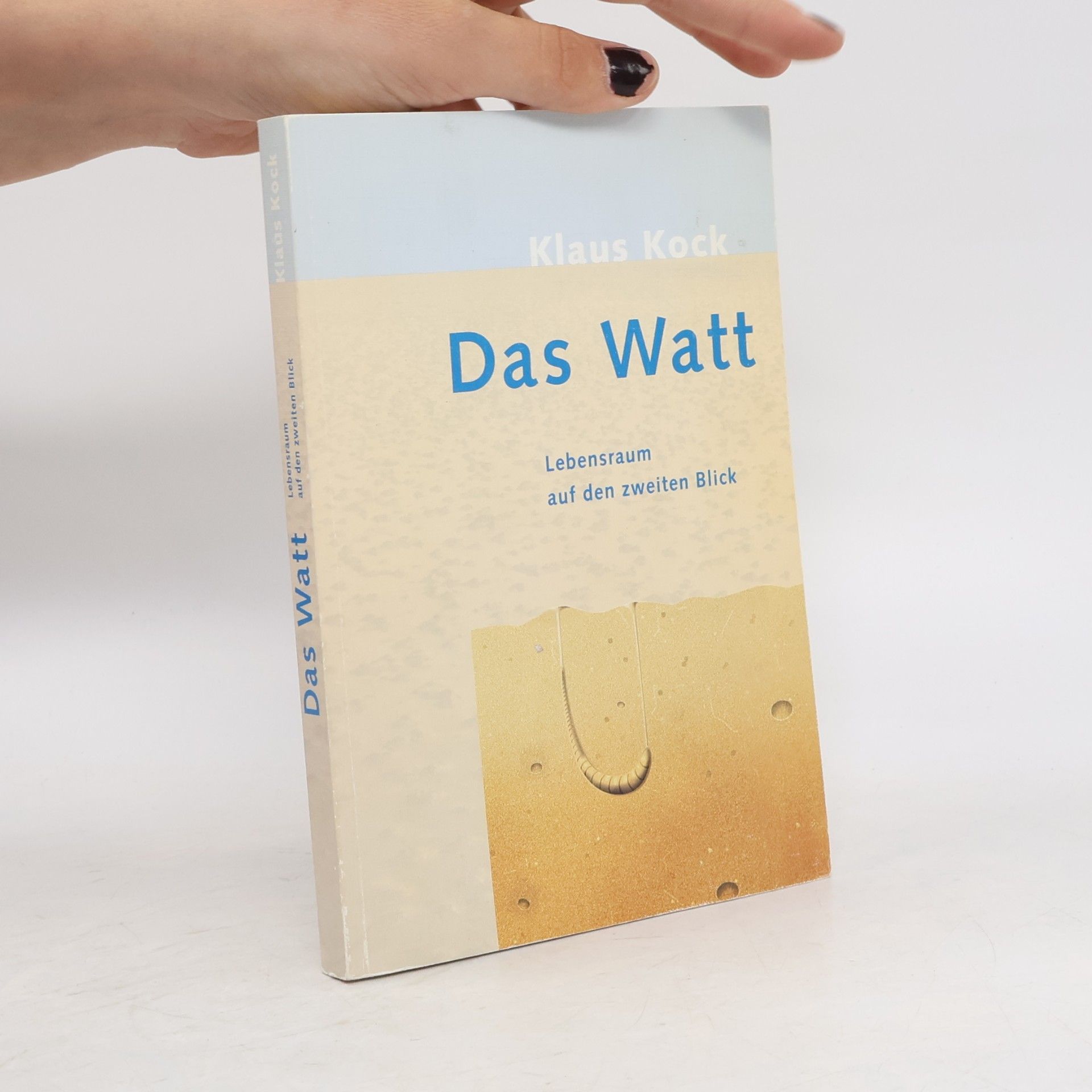 Klaus Kock Das Watt