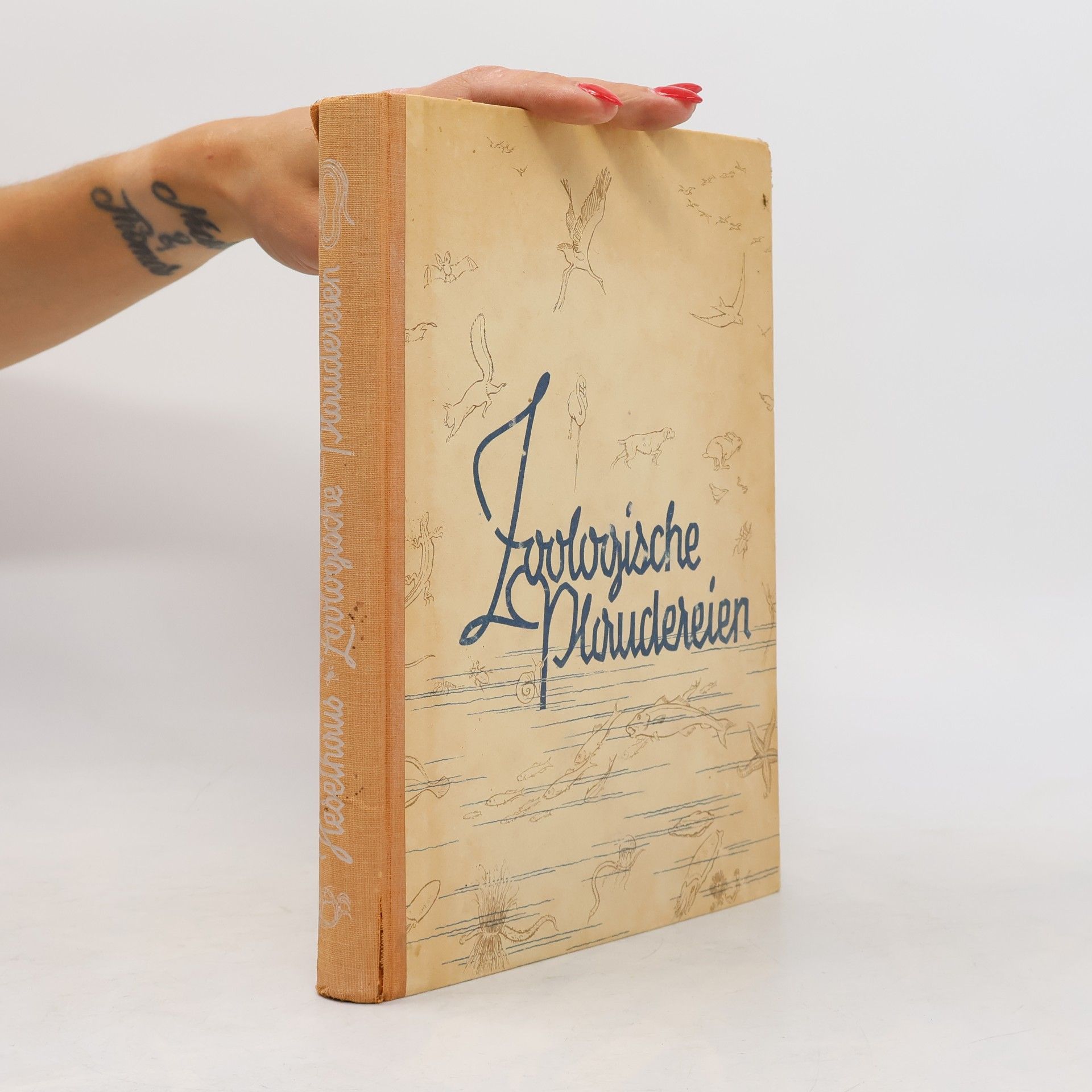 Zoologische Plaudereien