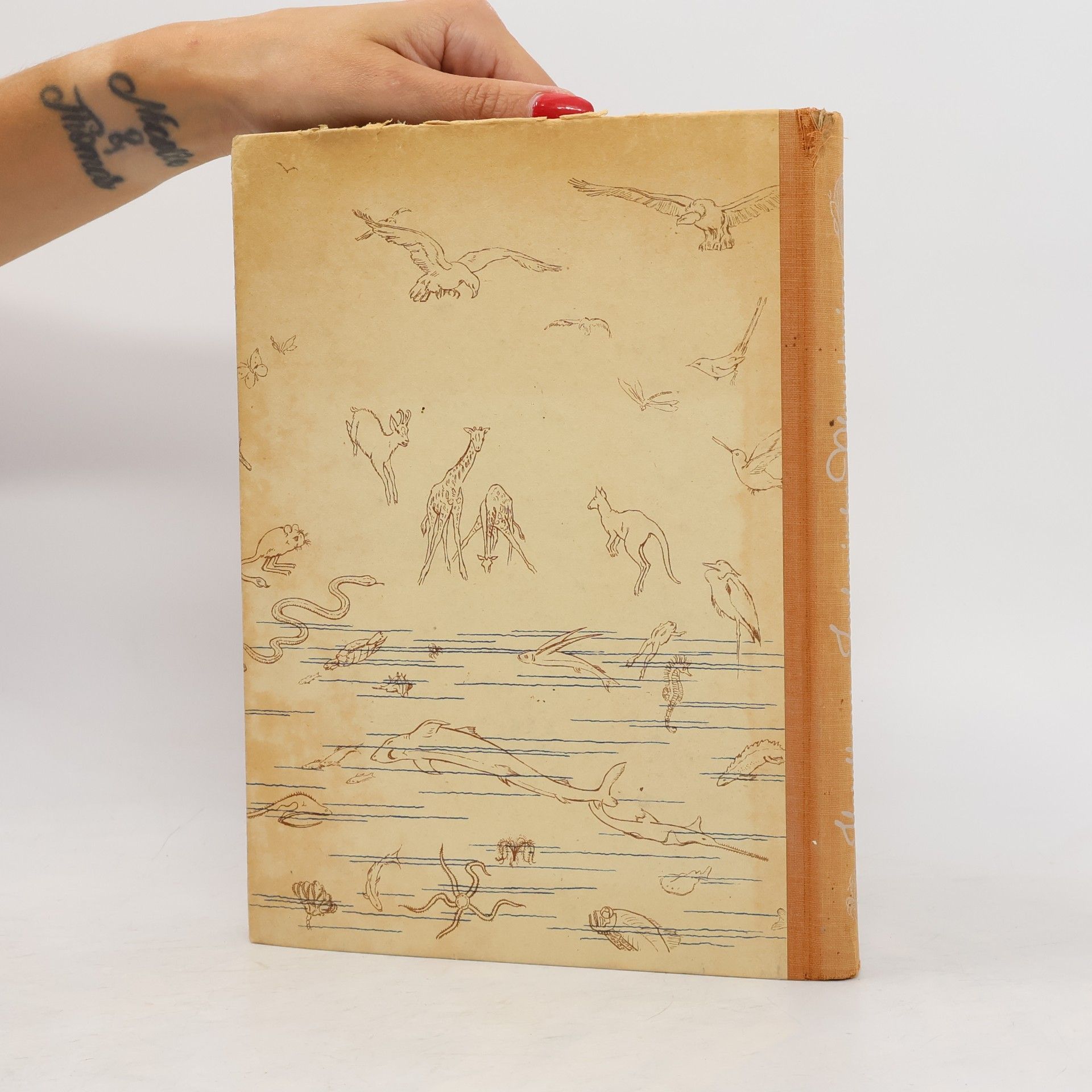 Franz Heselhaus Zoologische Plaudereien