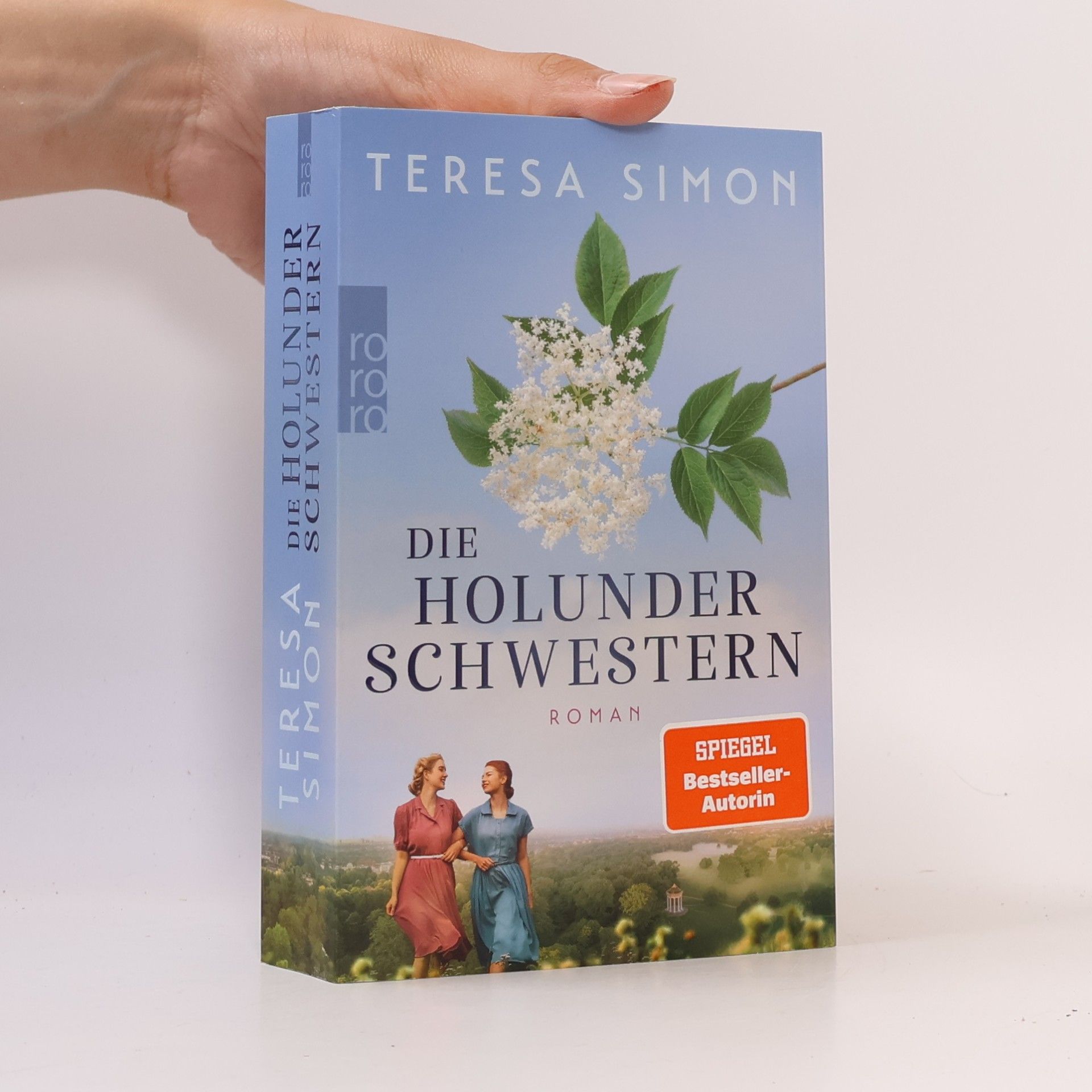 Brigitte Riebe Die Holunderschwestern