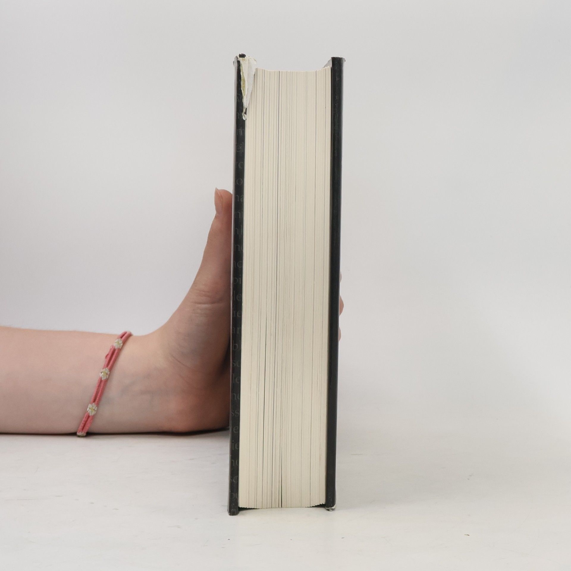 Autorenkollektiv 1000 geniálních obrazů