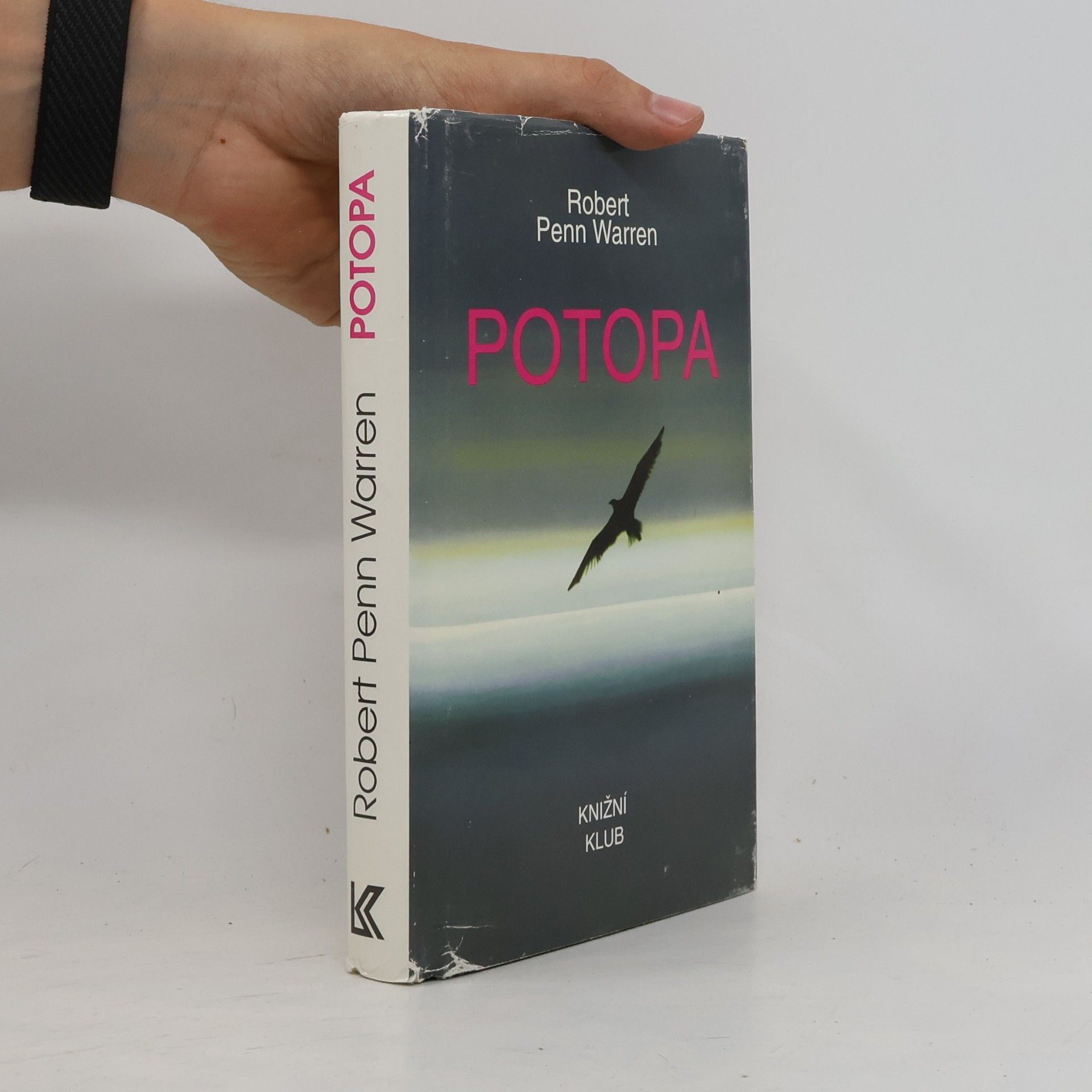 Robert Penn Warren Potopa