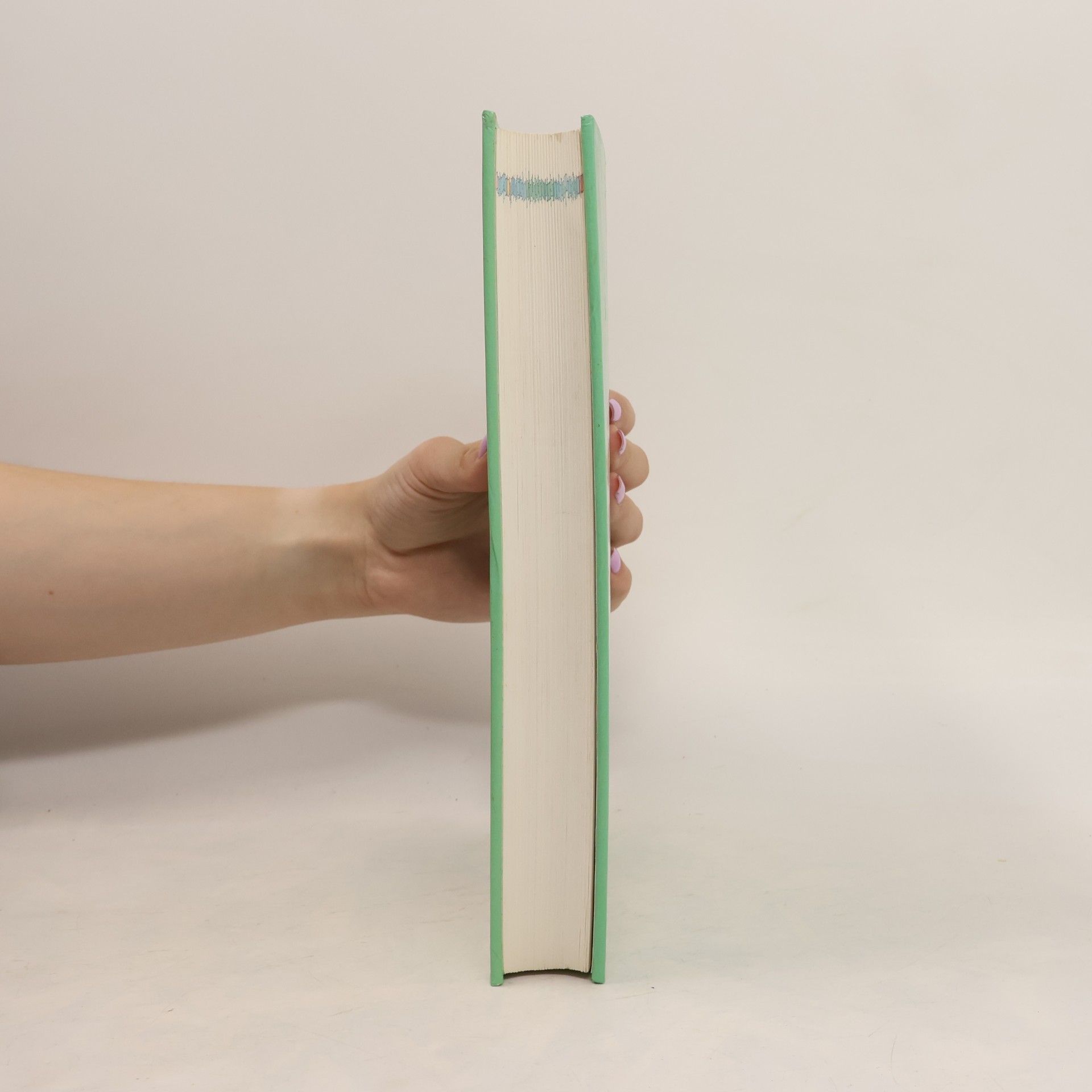 Gerhard Leibold Das grosse Hausbuch der Naturheilkunde