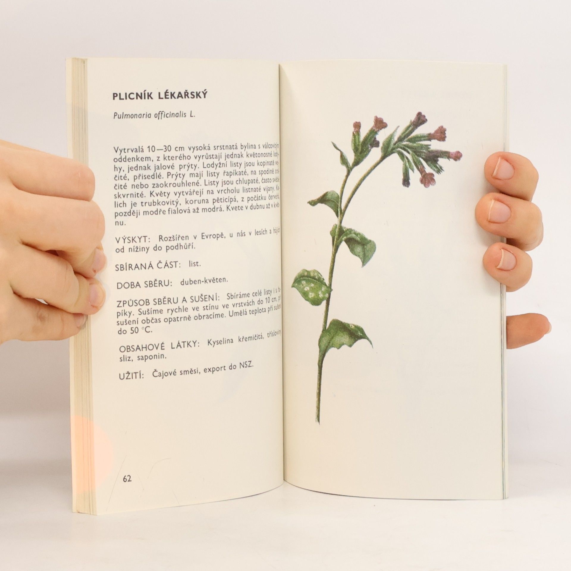 Ludmila Černá Malý herbář léčivých rostlin