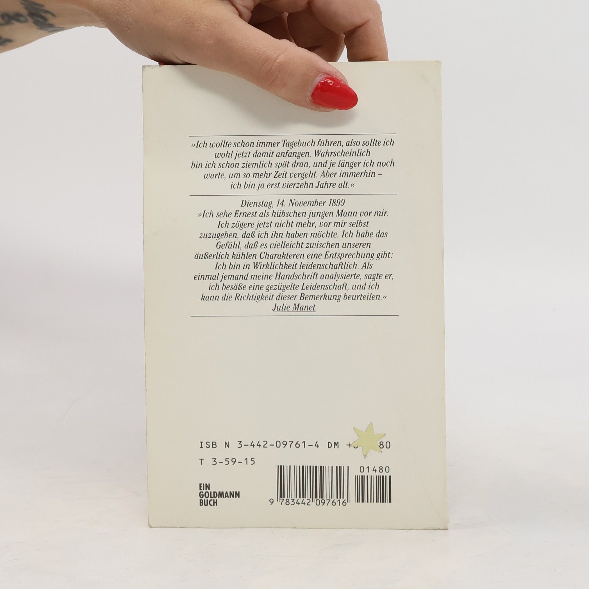 Julie Manet Das Tagebuch der Julie Manet