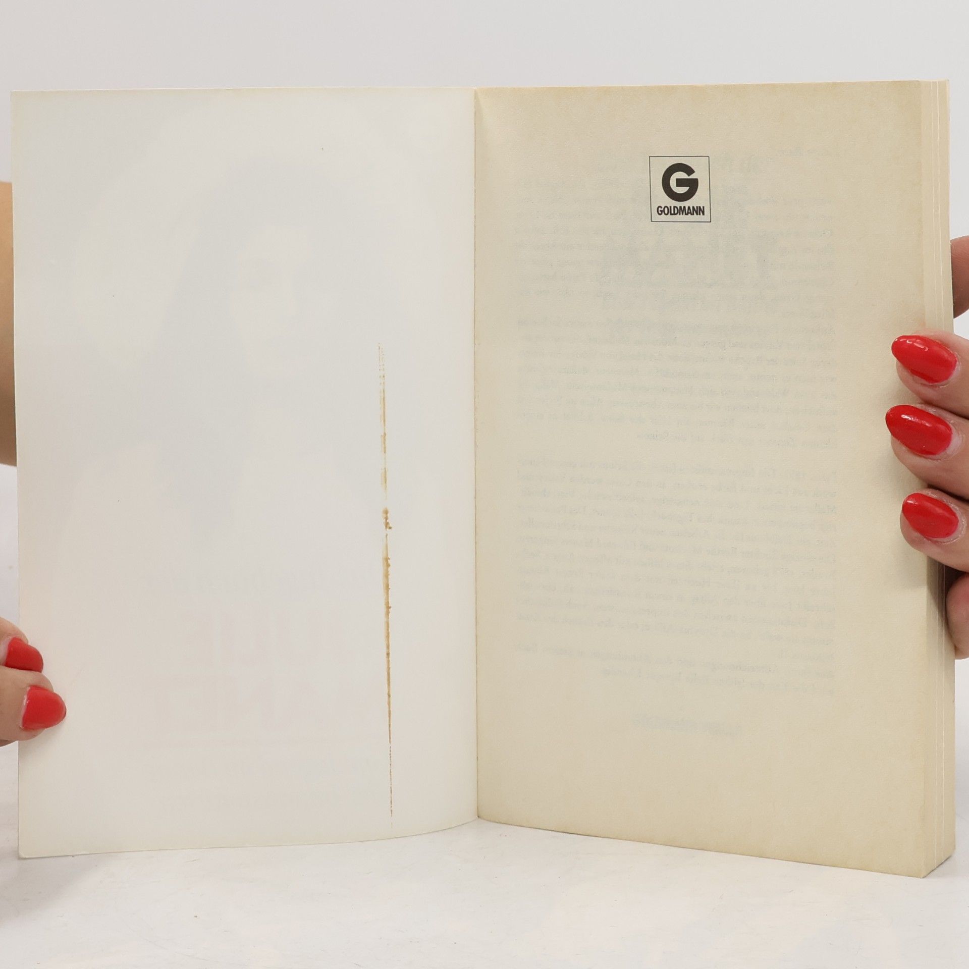 Julie Manet Das Tagebuch der Julie Manet