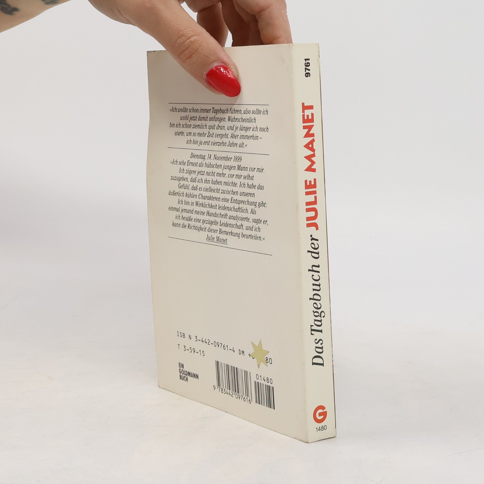 Julie Manet Das Tagebuch der Julie Manet