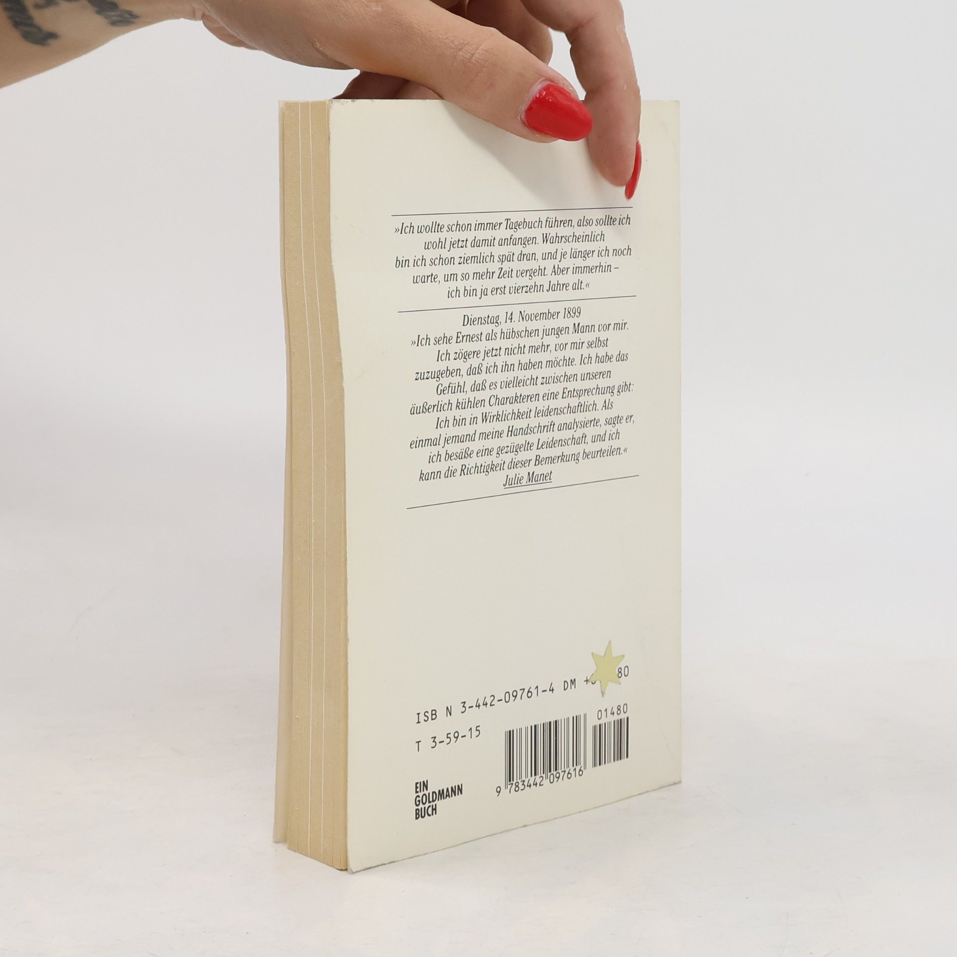 Julie Manet Das Tagebuch der Julie Manet