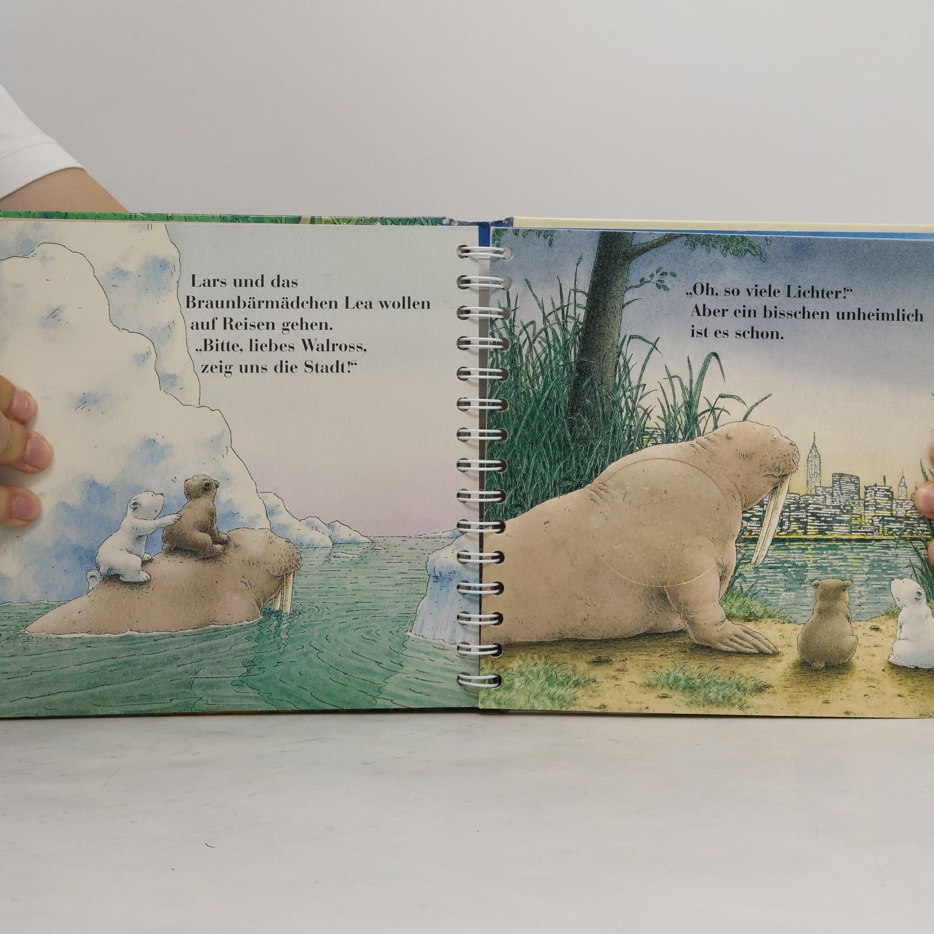 AA.VV. Der kleine Eisbär: Hallo, kleiner Eisbär!