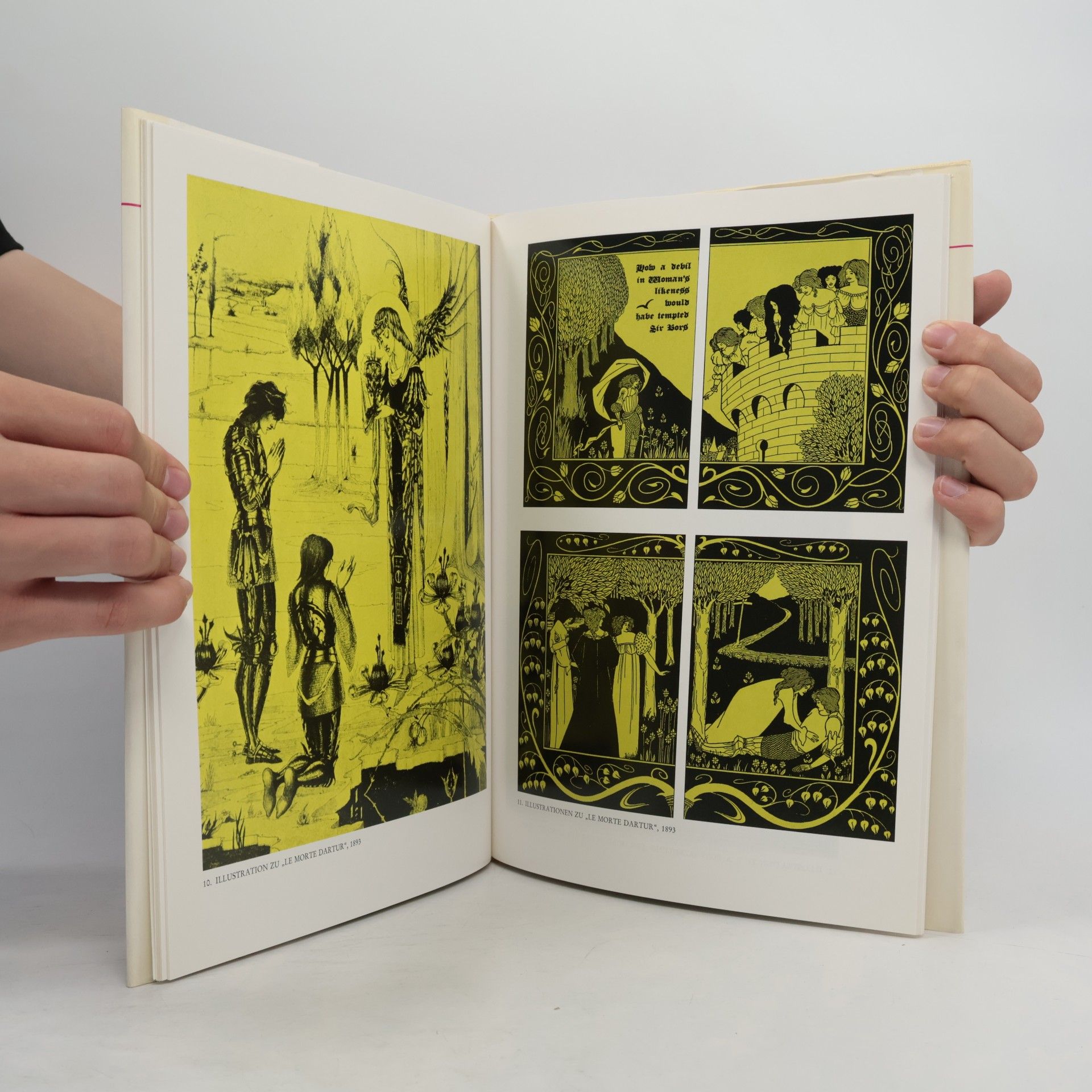 Julius Meier-Graefe Aubrey Beardsley. Mit 63 Bildtafeln