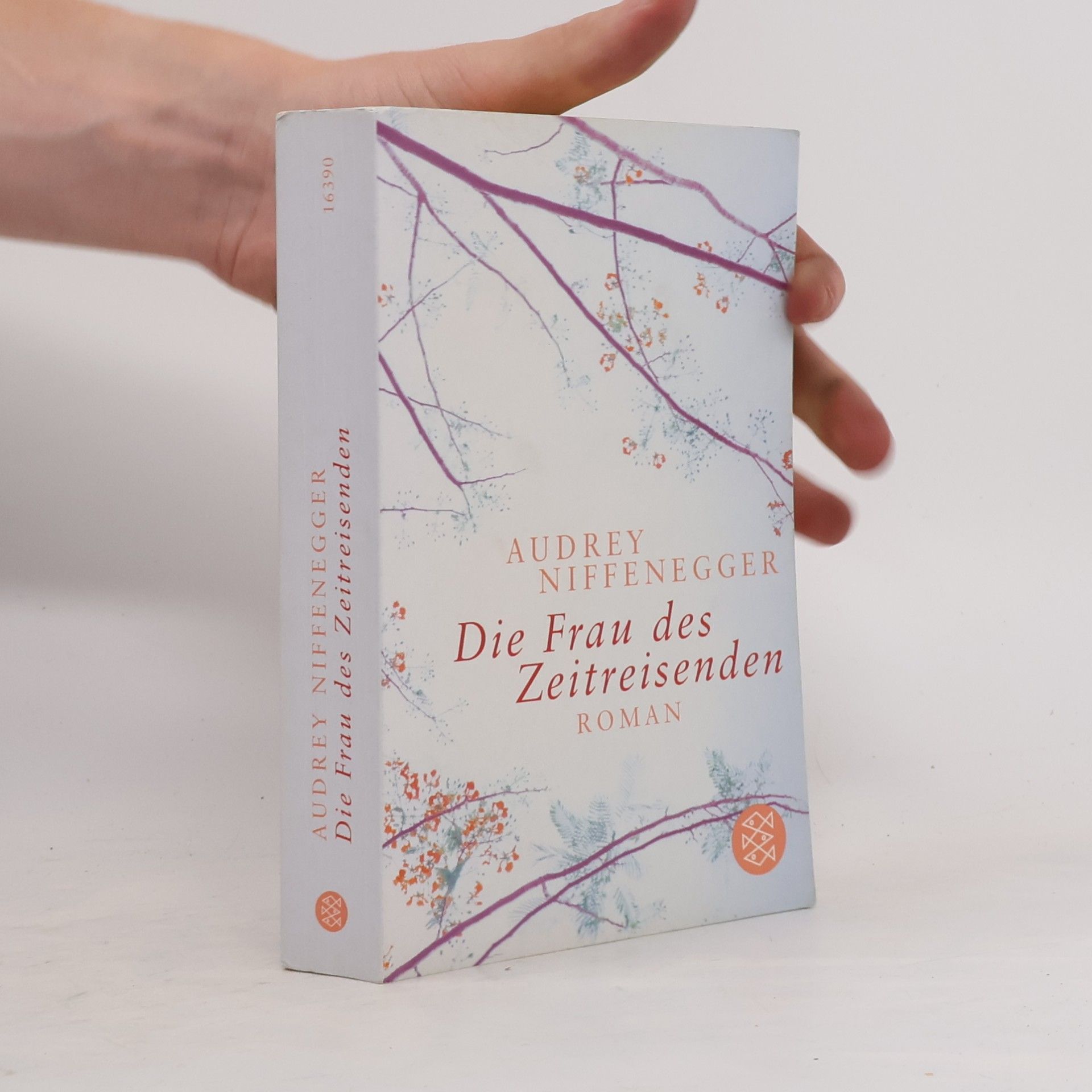 Audrey Niffenegger Die Frau des Zeitreisenden