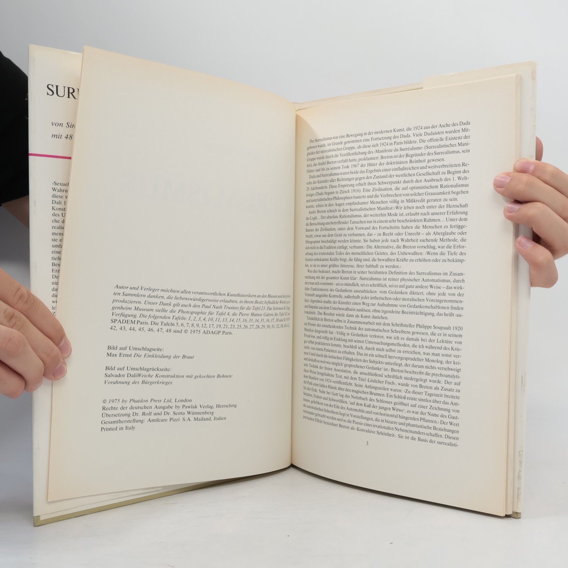 Simon Wilson Surrealismus. Mit 48 Farbtafeln