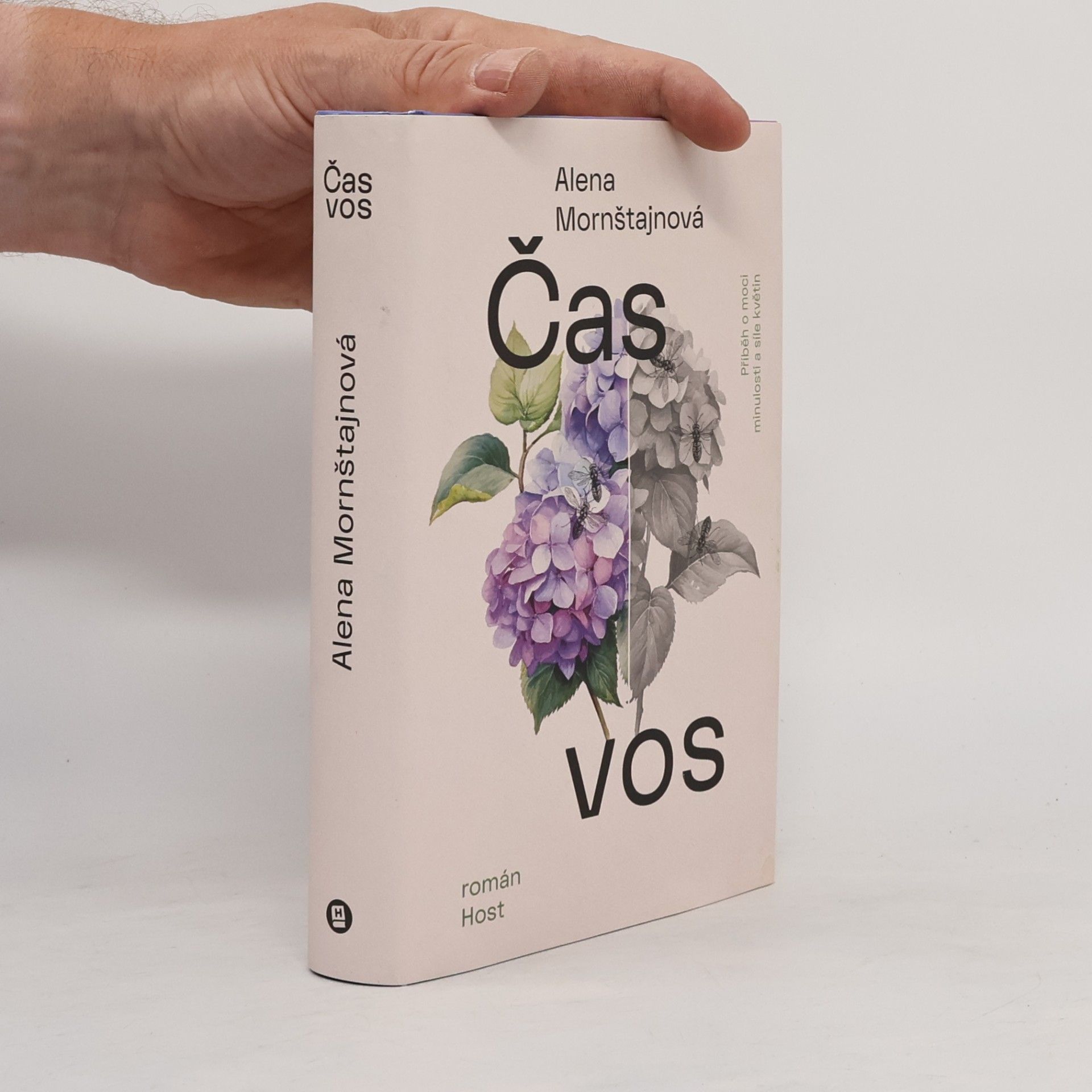 Alena Mornštajnová Čas vos