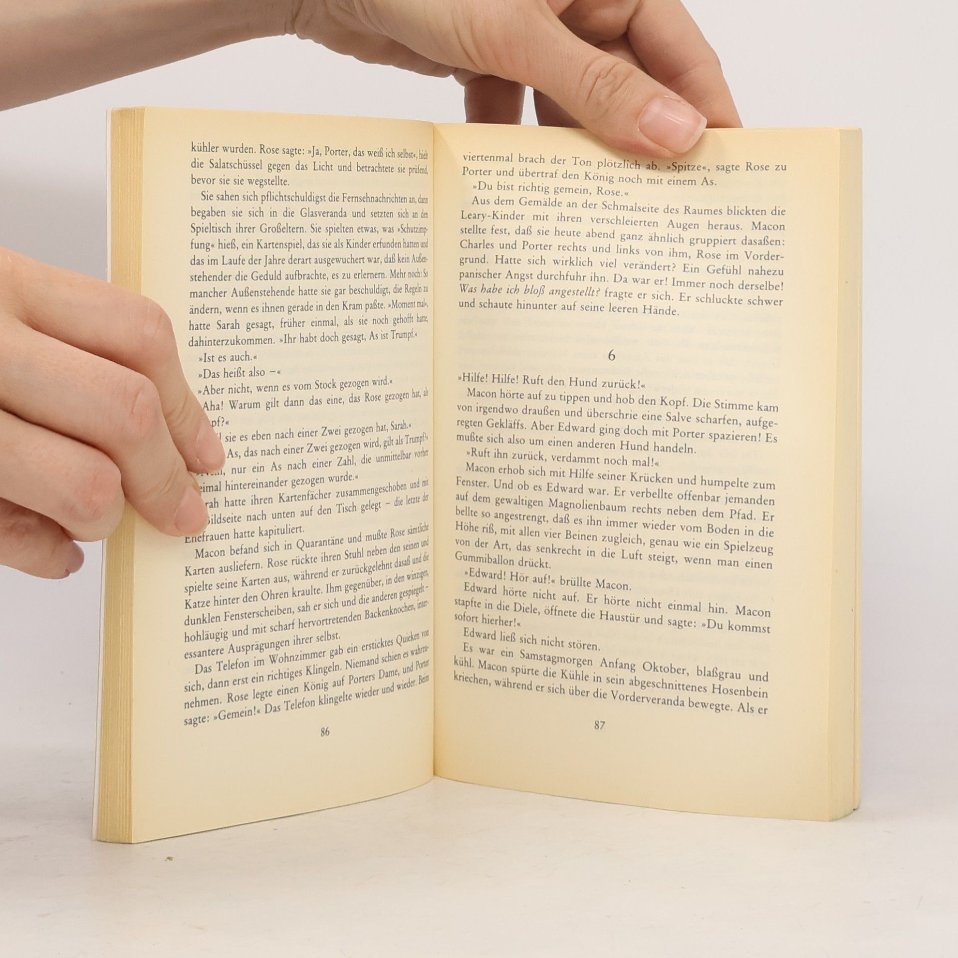 Anne Tyler Die Reisen des Mr. Leary