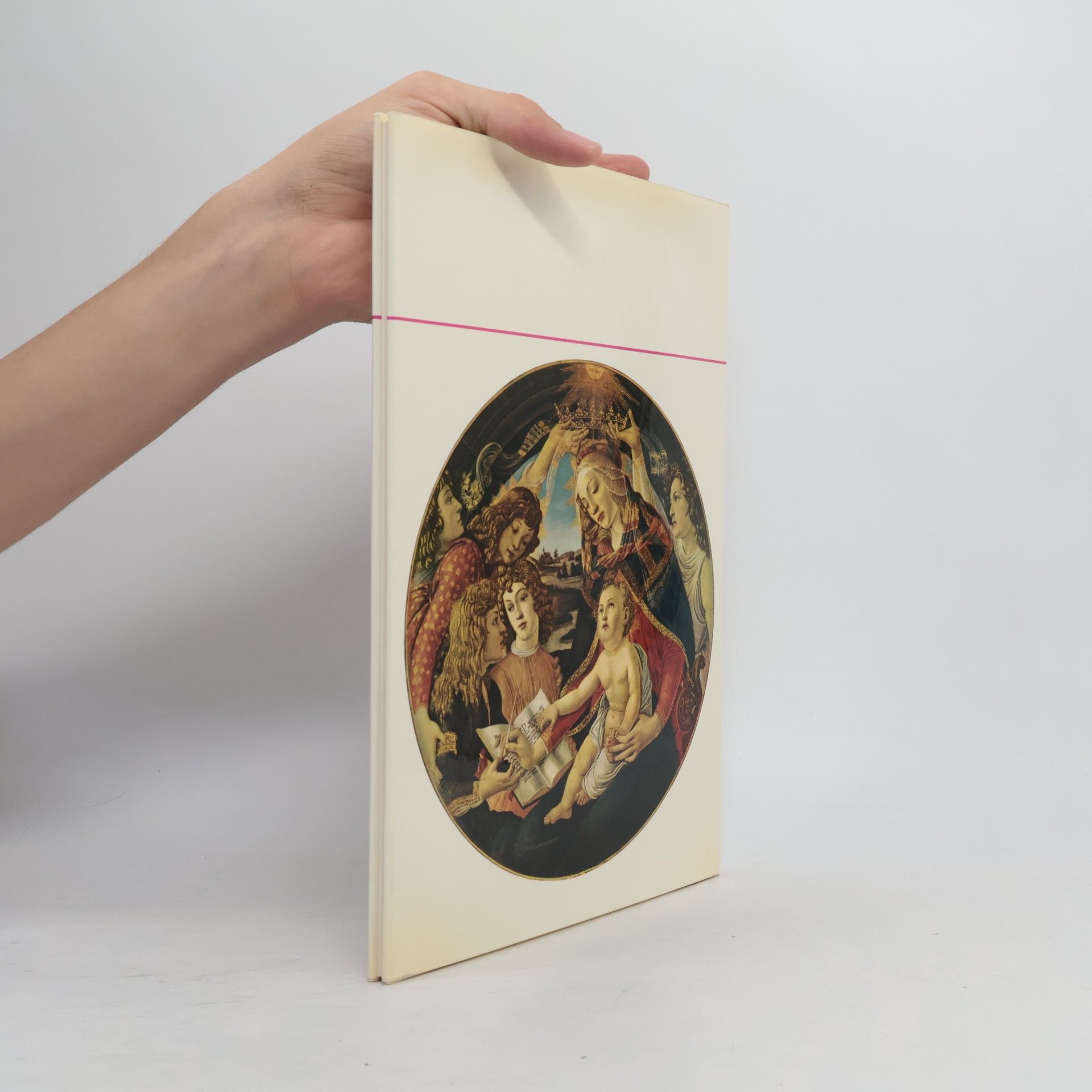 Various authors Botticelli. Mit 48 Bildtafeln