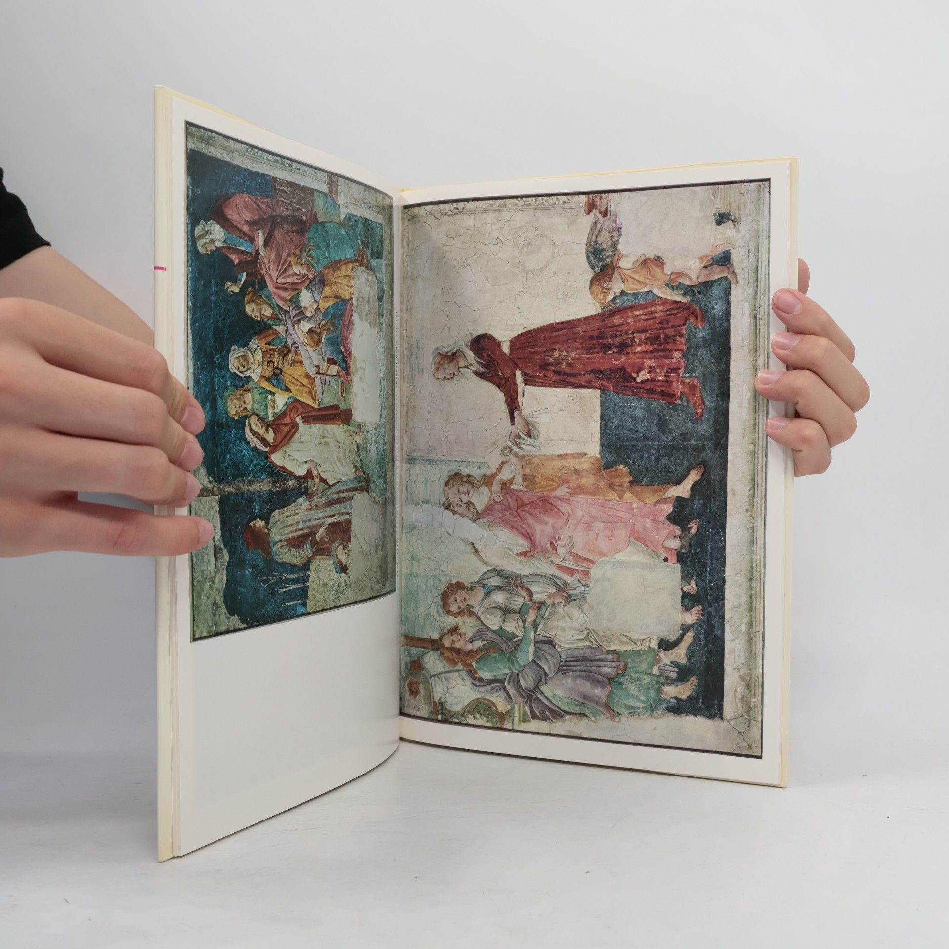 Various authors Botticelli. Mit 48 Bildtafeln