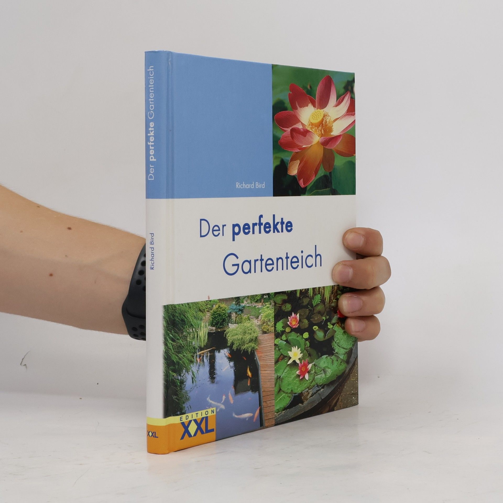 Der perfekte Gartenteich