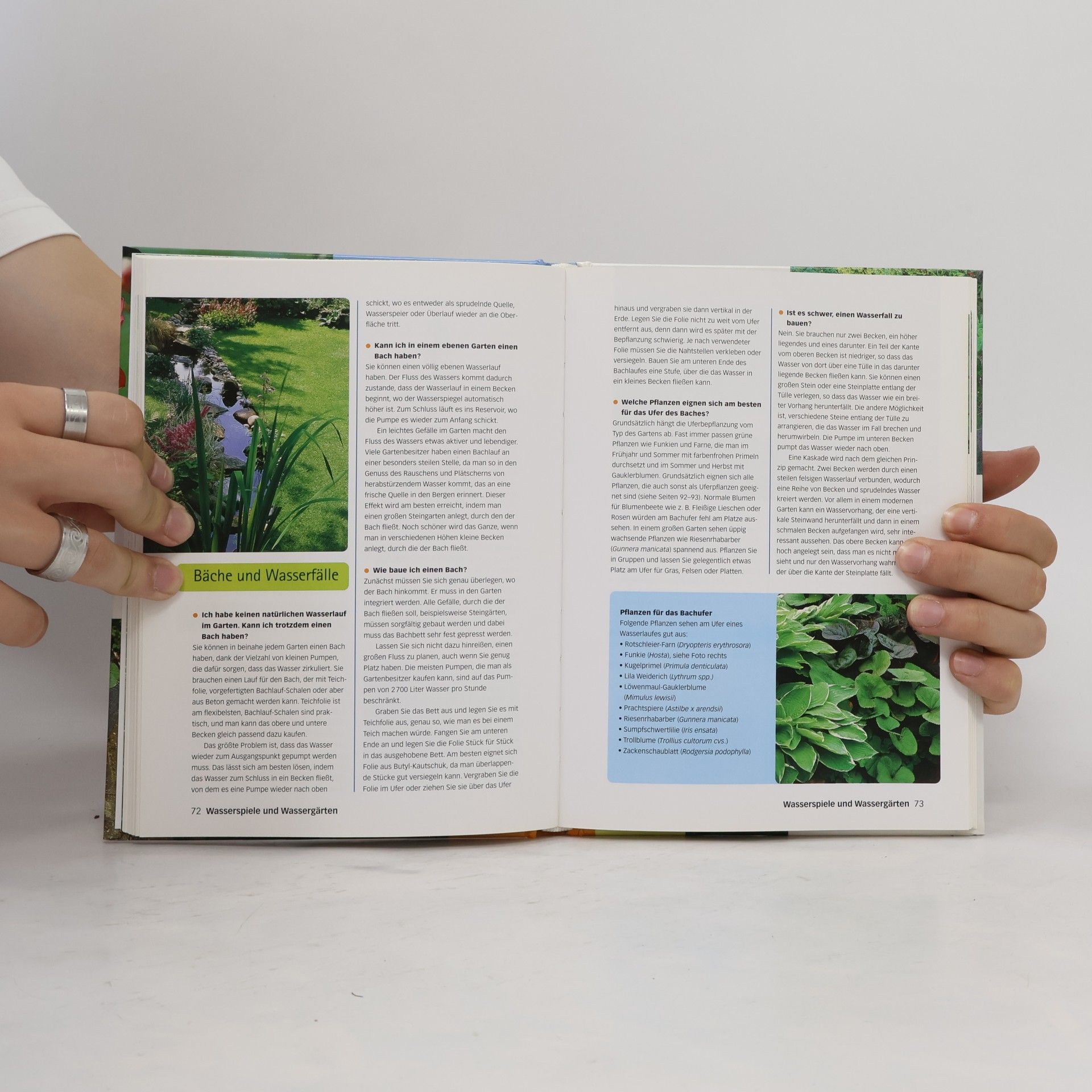 Richard Bird Der perfekte Gartenteich