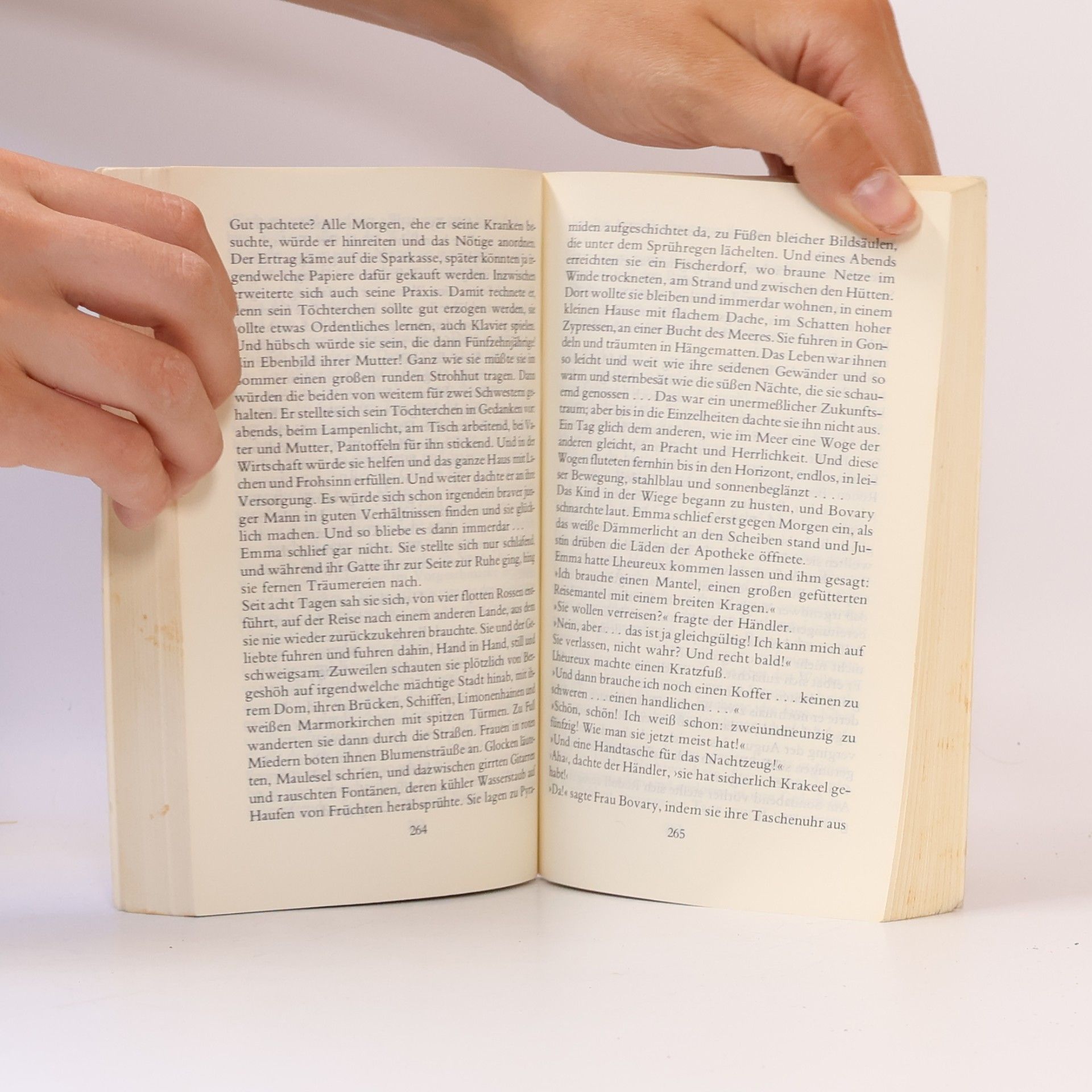 Gustave Flaubert Madame Bovary