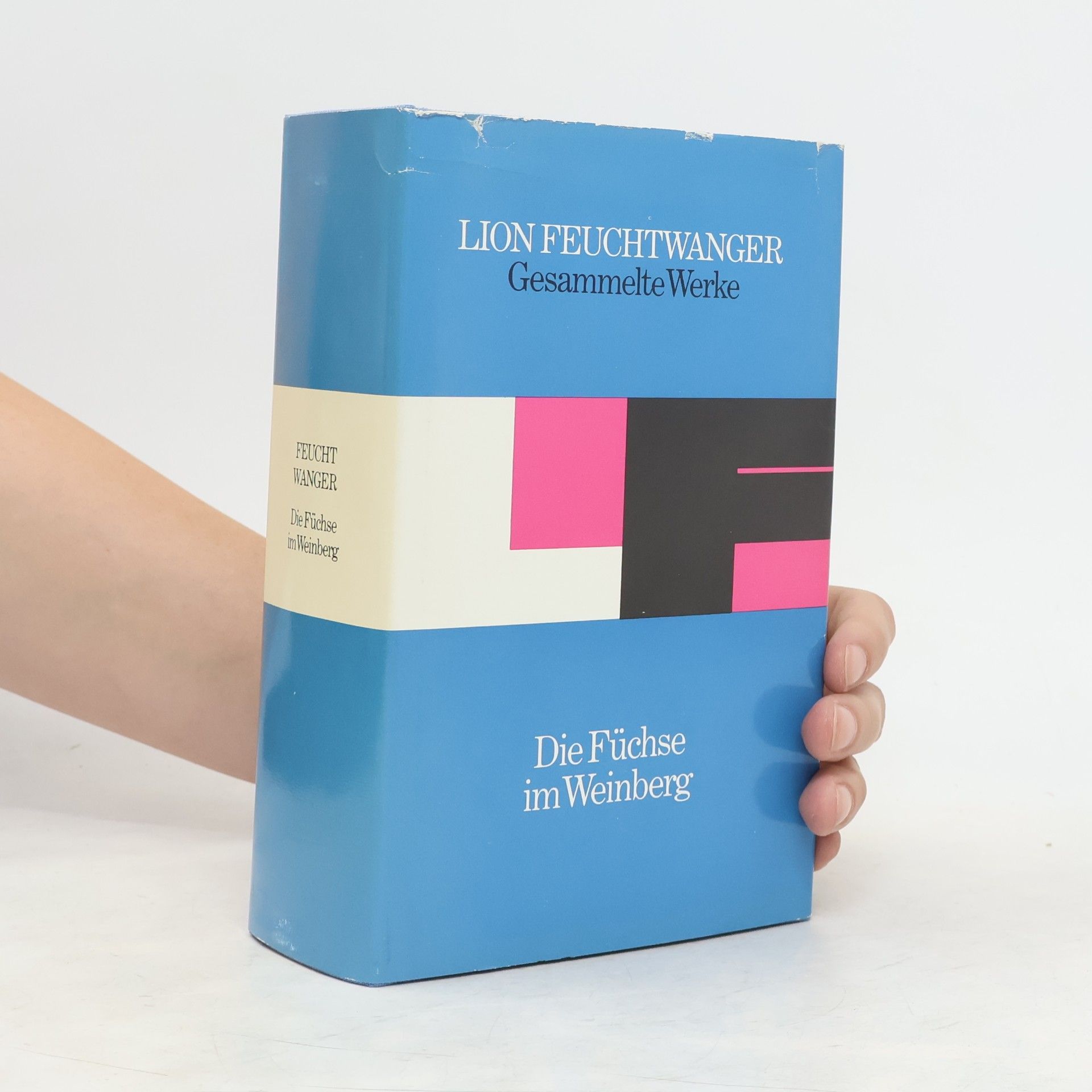 Die Füchse im Wienberg